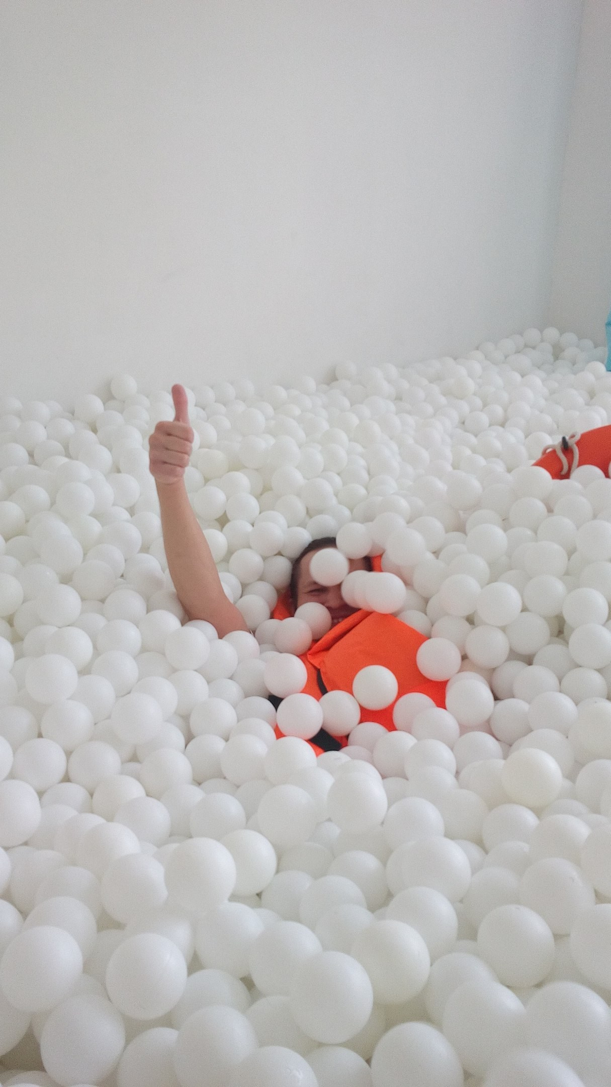 Сухой бассейн H2Ball |12.03.2017. Галерея Фантим