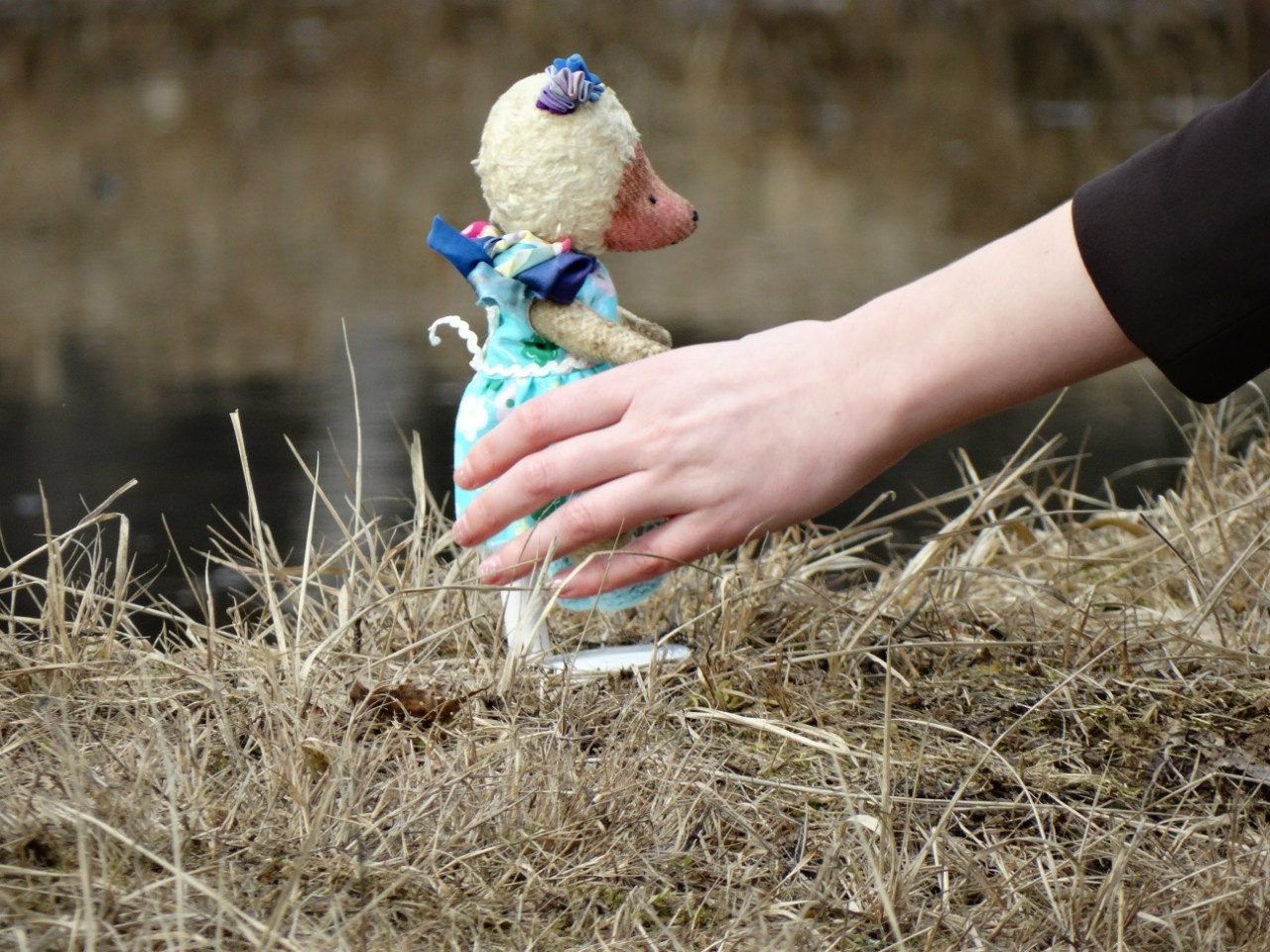 Середниково — Piligrim Porto — Братцево — Сходненская чаша | 09.04.2016. Галерея Фантим