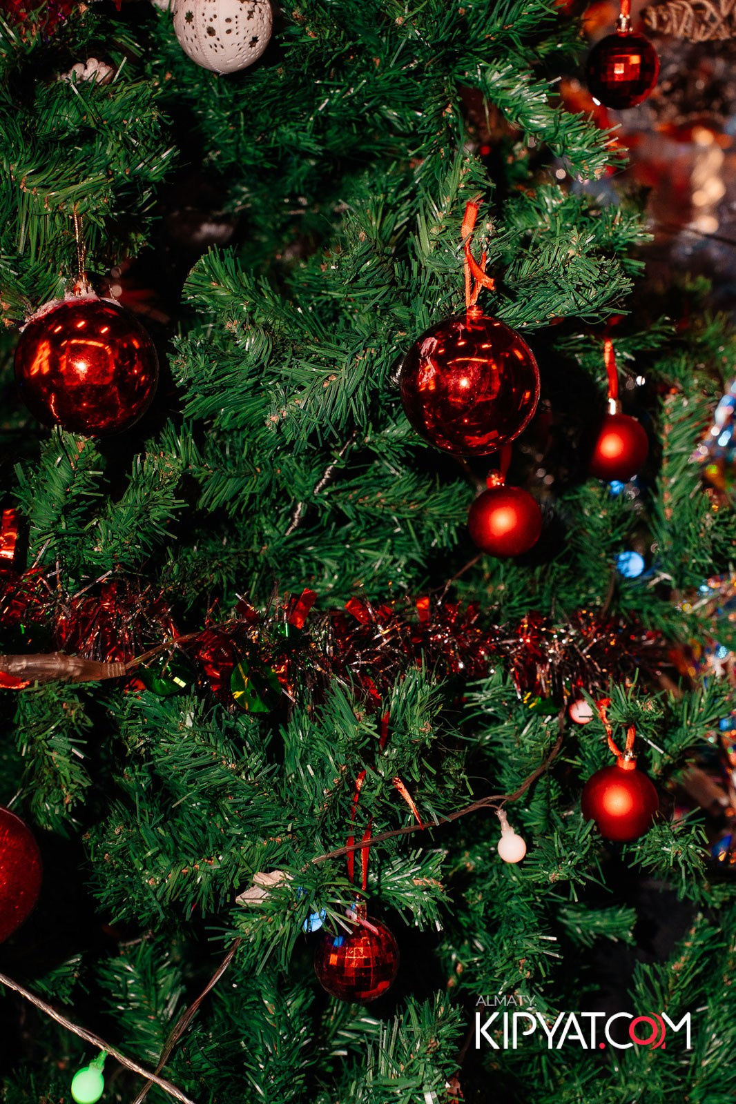 MYATA PLATINUM НА АБАЯ — SPECIAL QUEST АЙКЫН. КИПЯТКОМ АЛМАТЫ! Фотосъемка мероприятий в Алматы