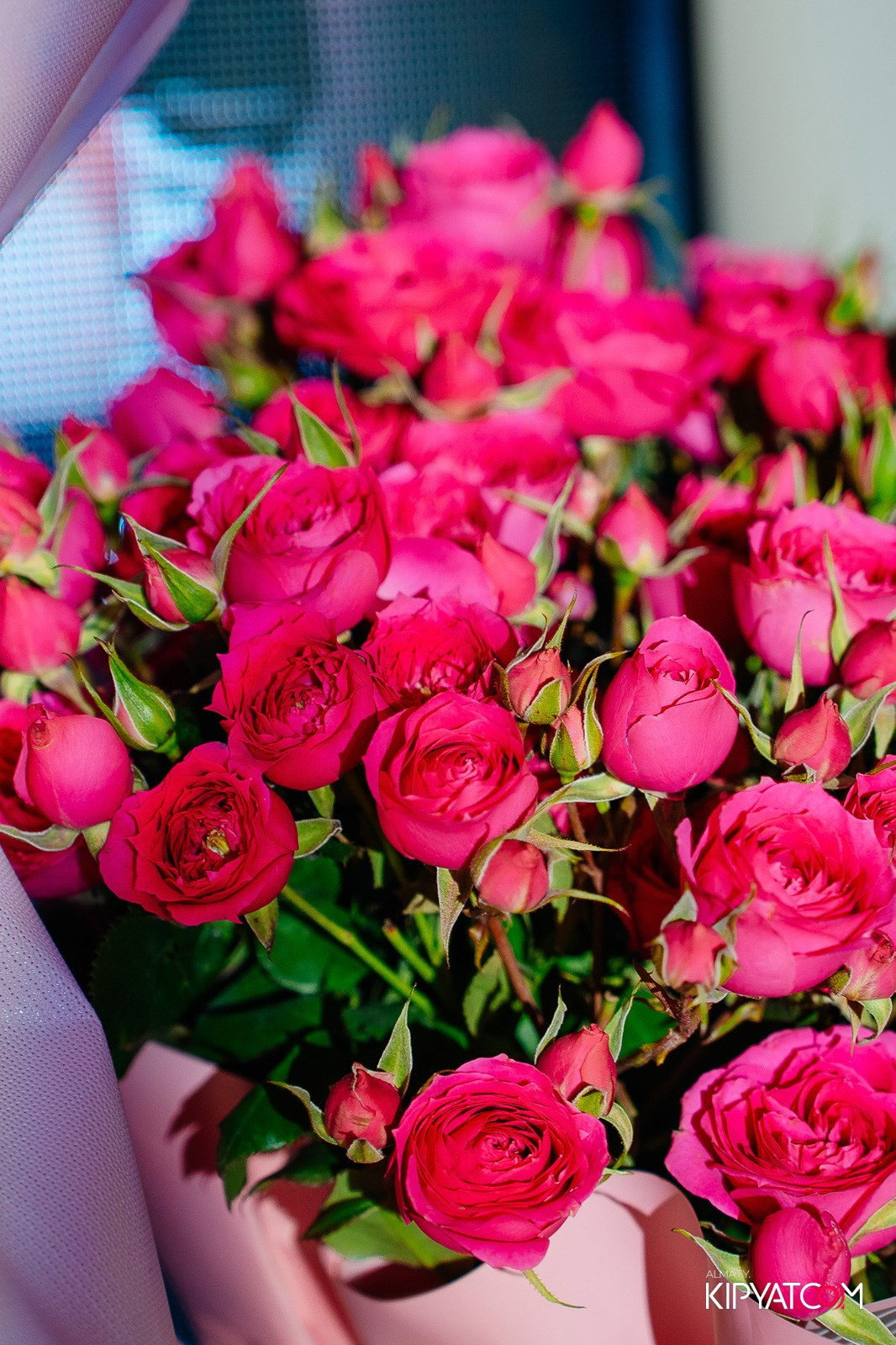 FORT VERNYI. КИПЯТКОМ АЛМАТЫ!