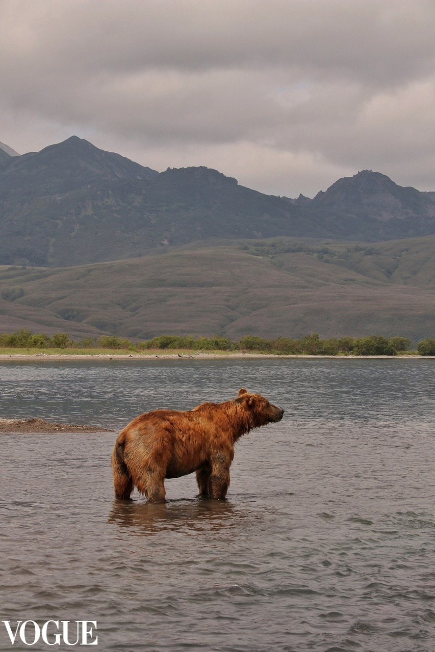 Vogue и другие. Наталия Фролова. Фотограф. Москва