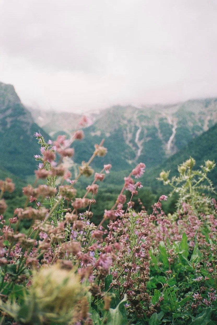 Плёночная история. Фотограф Новгородская Полина | Москва