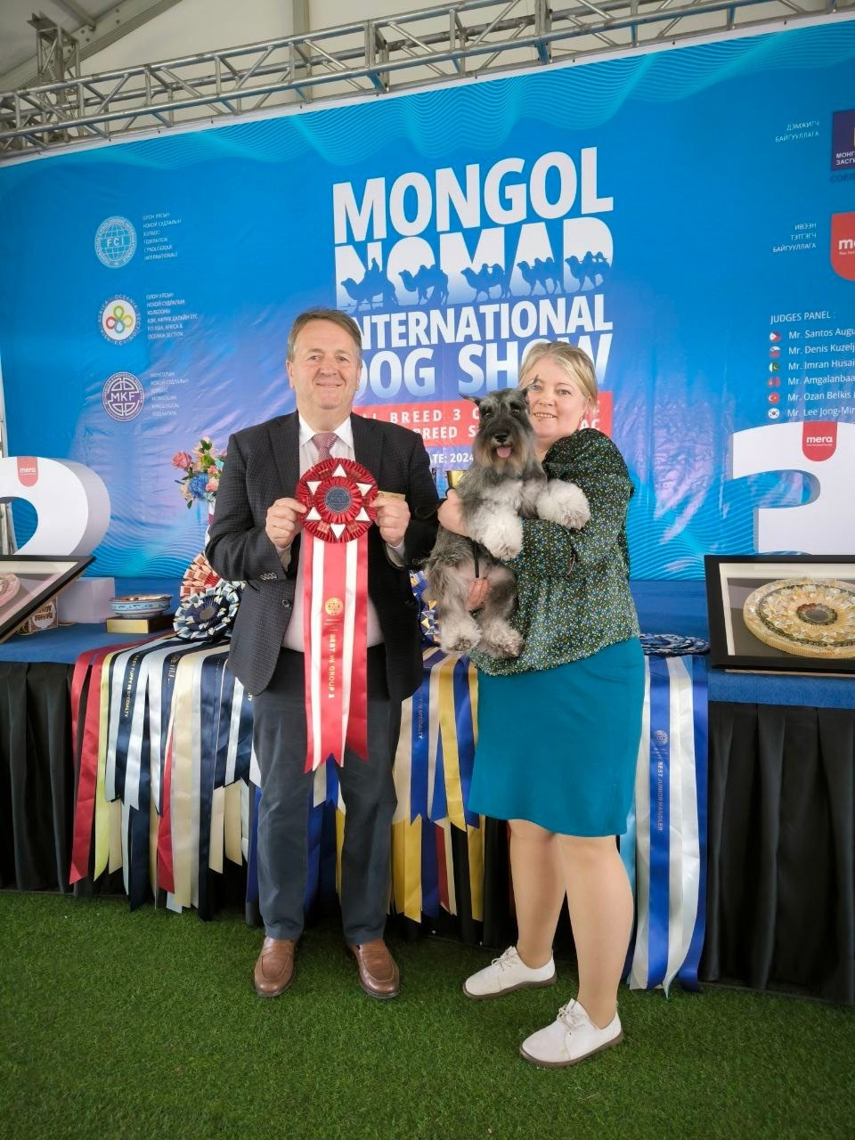 Мира/DELINSO BALANCE RAMINA MODUS MAXIMUS. Питомник цвергшнауцеров в Беларуси «Делинсо Бэлэнс»