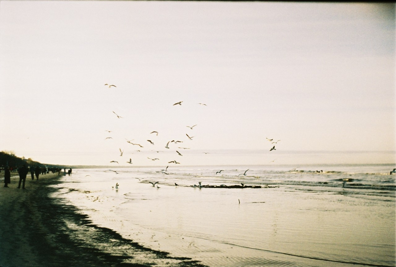 Латвия. Аня Степанова