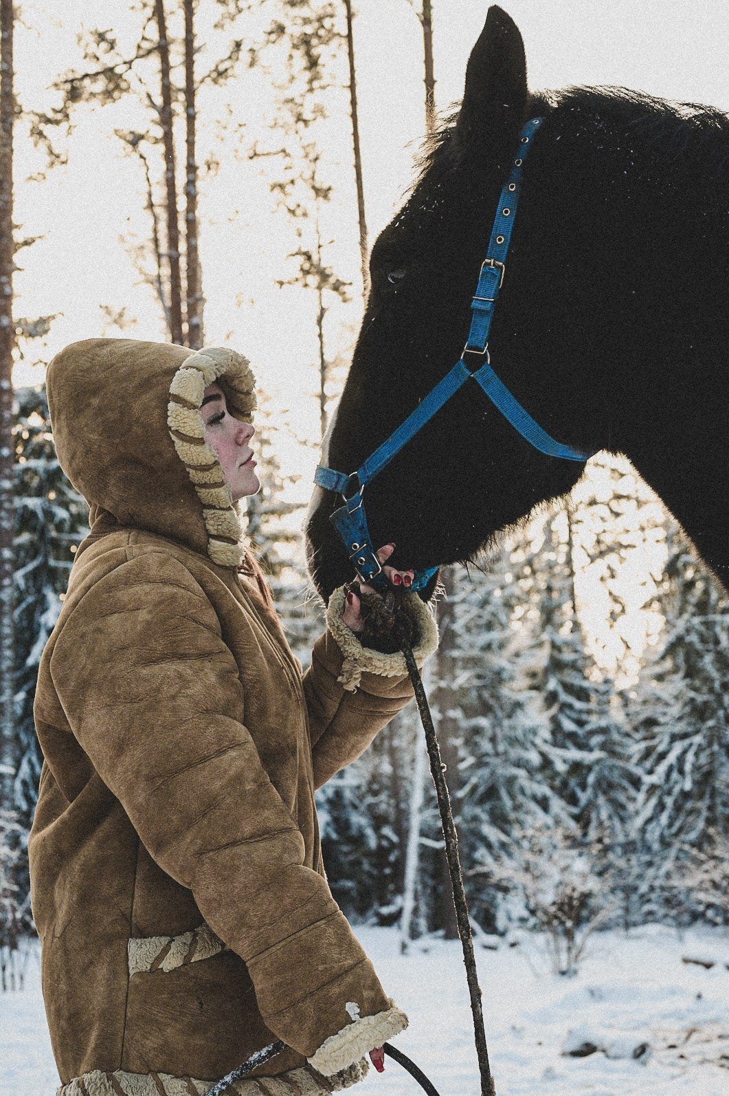 Конюшня. Репортажный фотограф в Санкт-Петербурге Диана Ларченкова