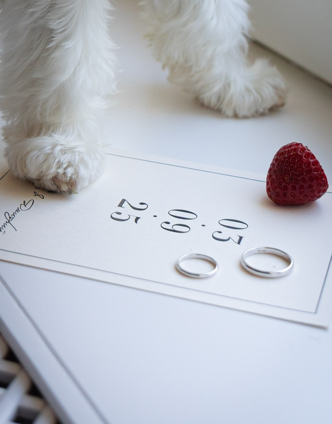 Александра и Дмитрий. Ваш фотограф — Александра Андрущенко