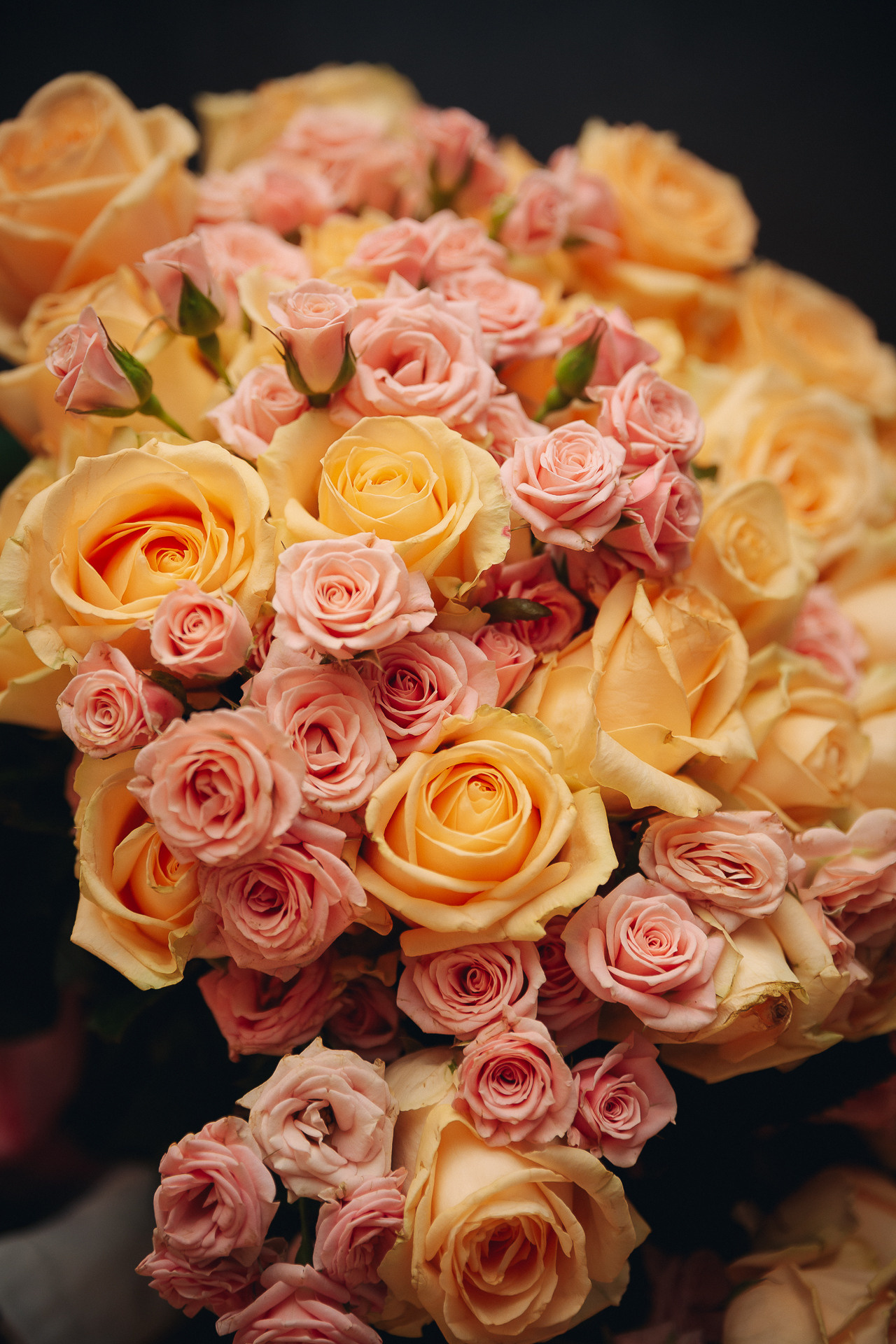 День Рождения. Фотограф в Глазове Роман Маньков