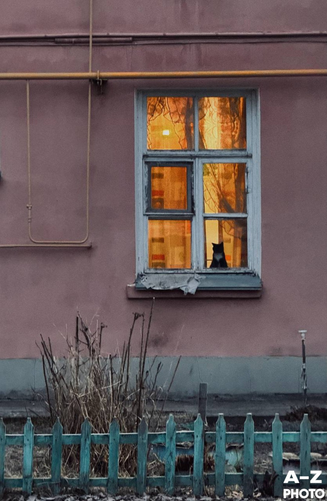 Фото недели AZPHOTO 24.11.2025. Женский семейный фотограф Тула Москва Захарова Анна