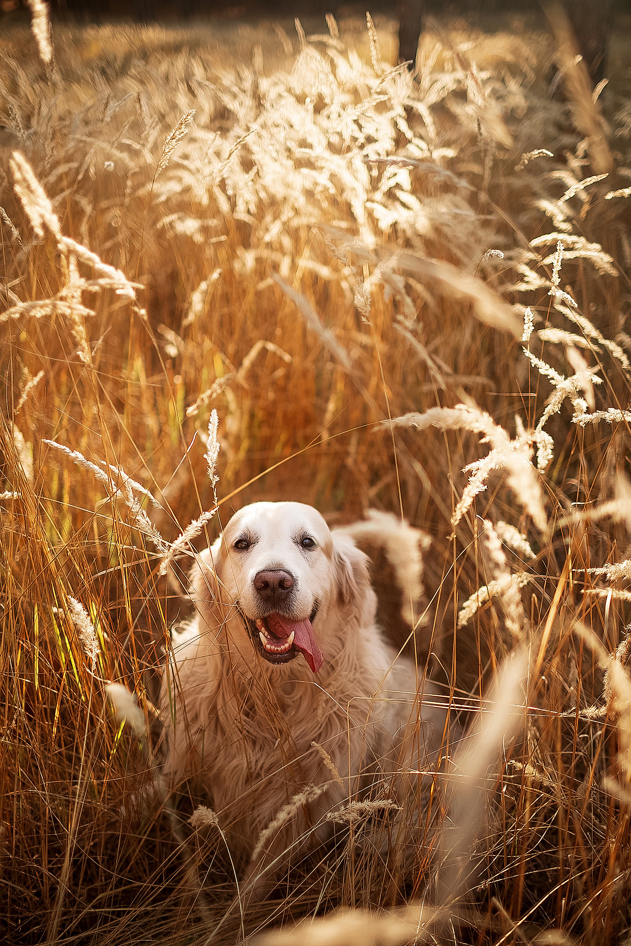 Ключников Виктор фотографирую душой!