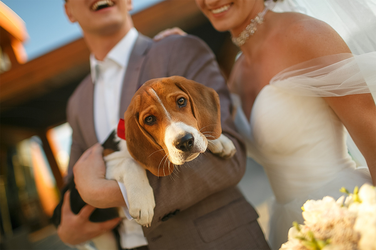 Ключников Виктор фотографирую душой!