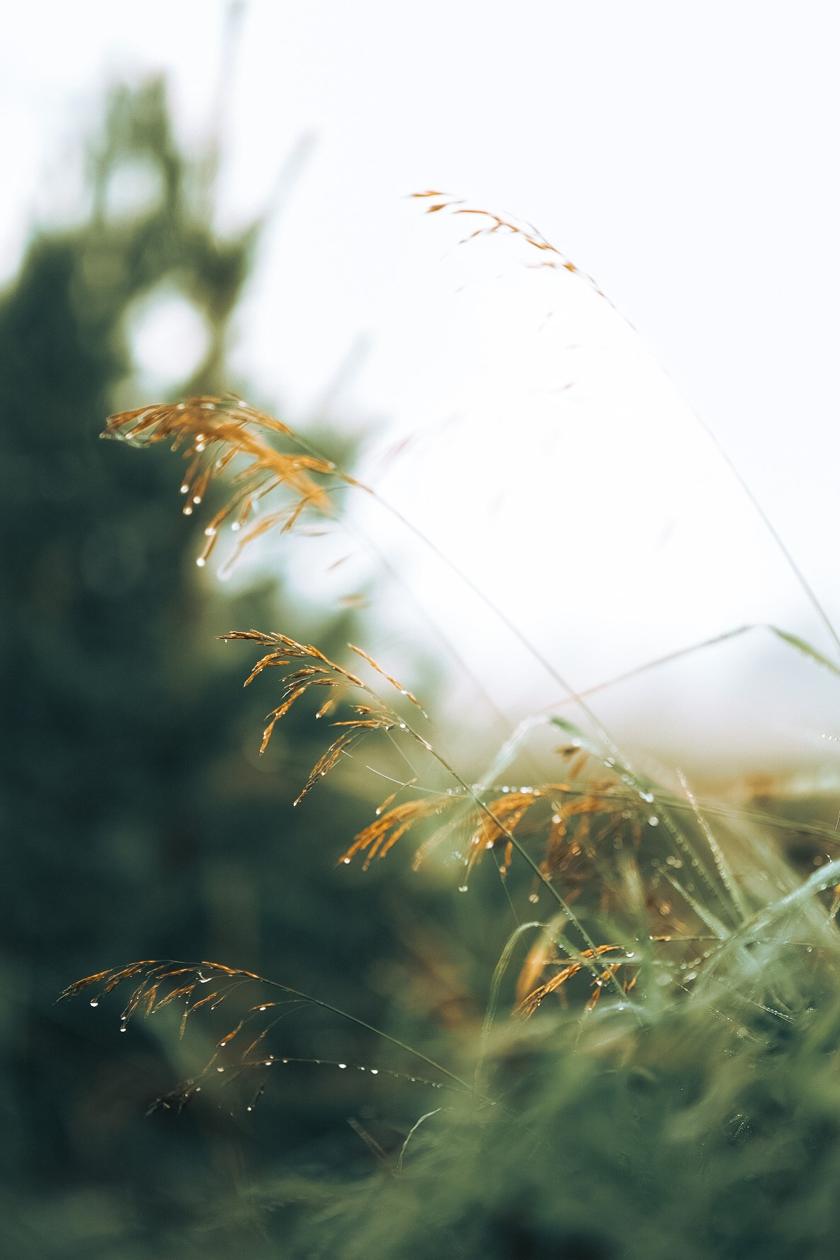 Прогулки по России. Фотограф Валерия Кононова