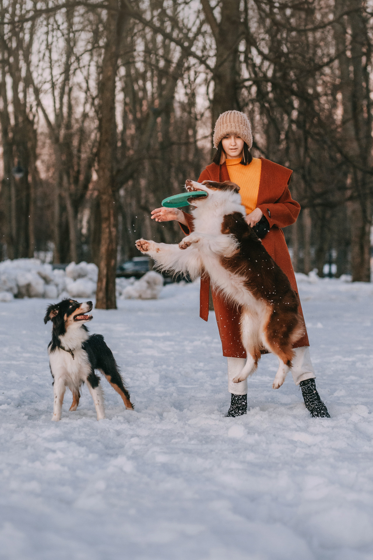 Нюта, Мэри и Лэсси. Фотограф-анималист Елена Радченко, Москва