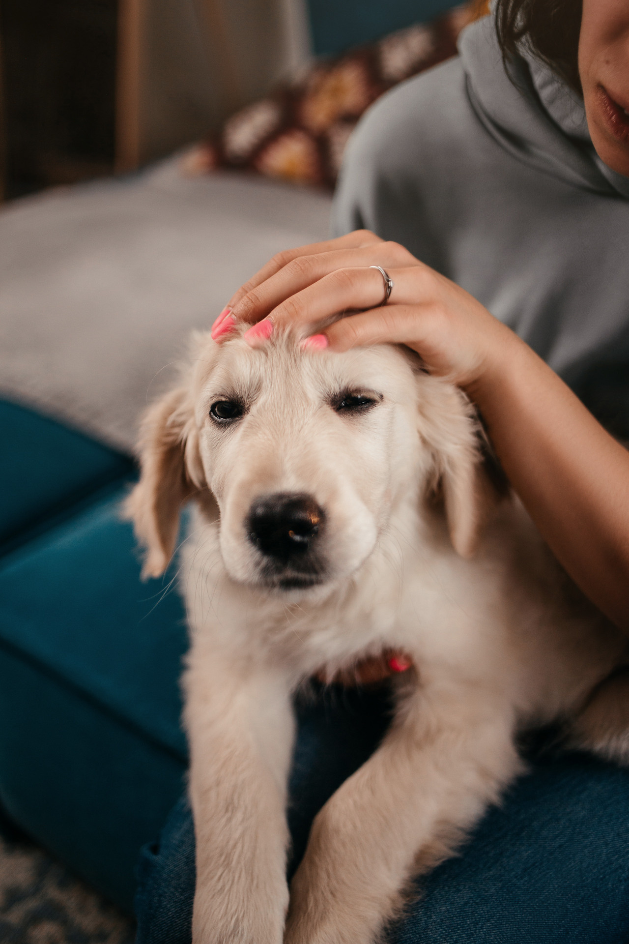 Настя, Вальда и Флер. Фотограф-анималист Елена Радченко, Москва