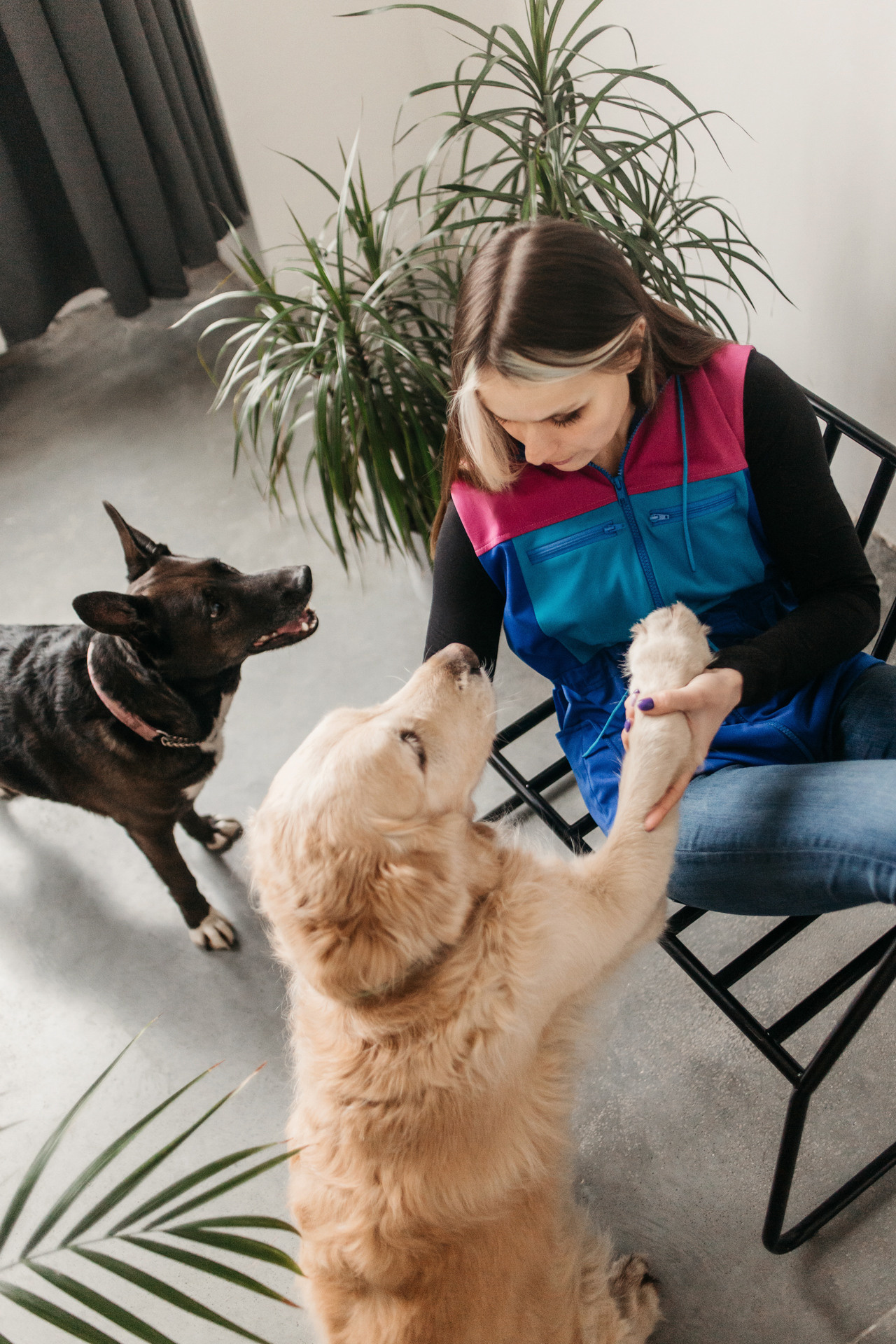 Ира, Бэлла и Альма. Фотограф-анималист Елена Радченко, Москва