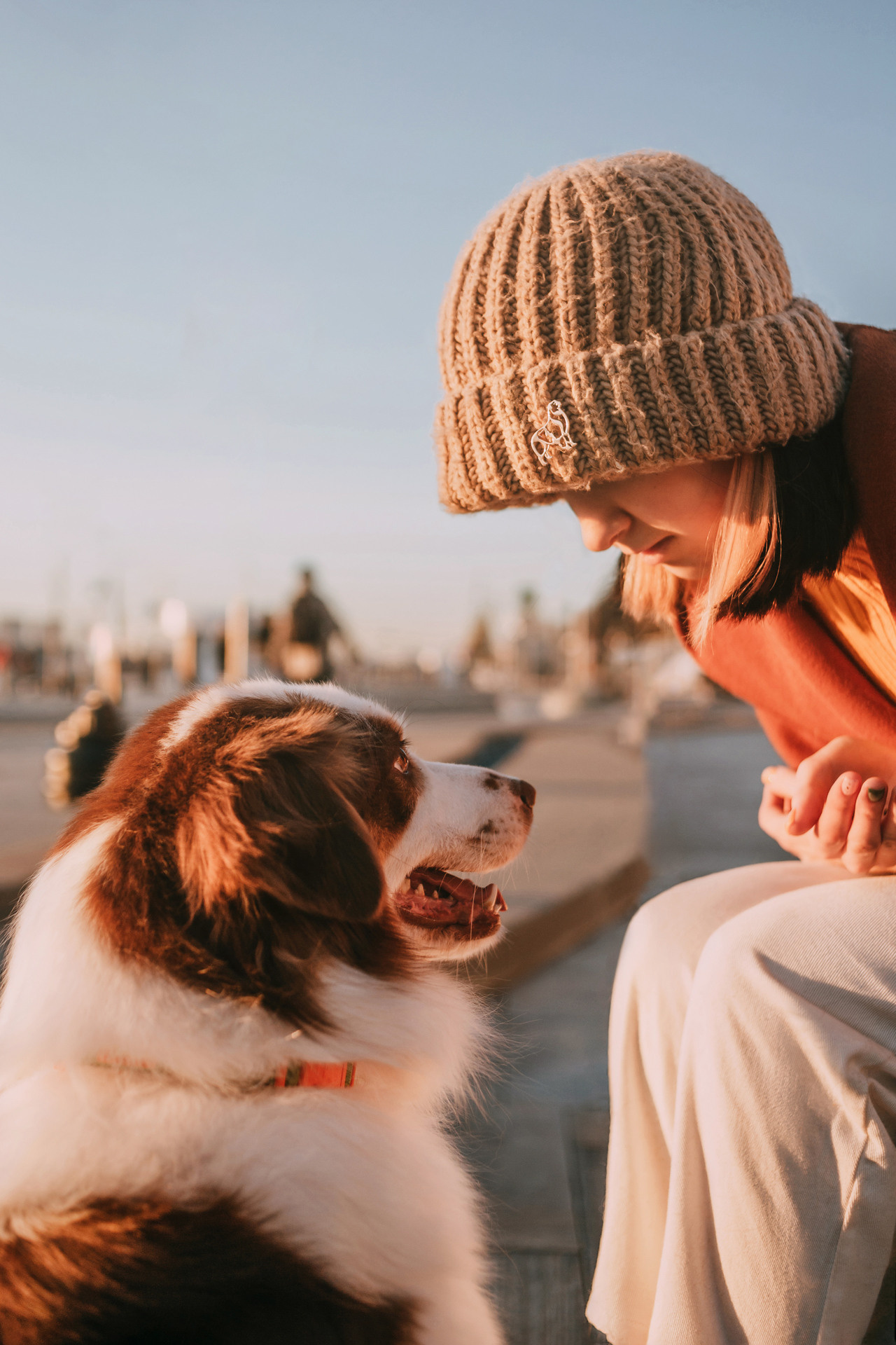 Нюта, Мэри и Лэсси. Фотограф-анималист Елена Радченко, Москва