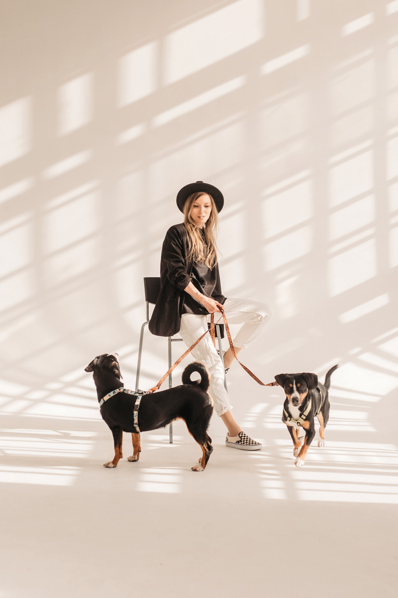 Аня, Вафля и Пикси. Фотограф-анималист Елена Радченко, Москва