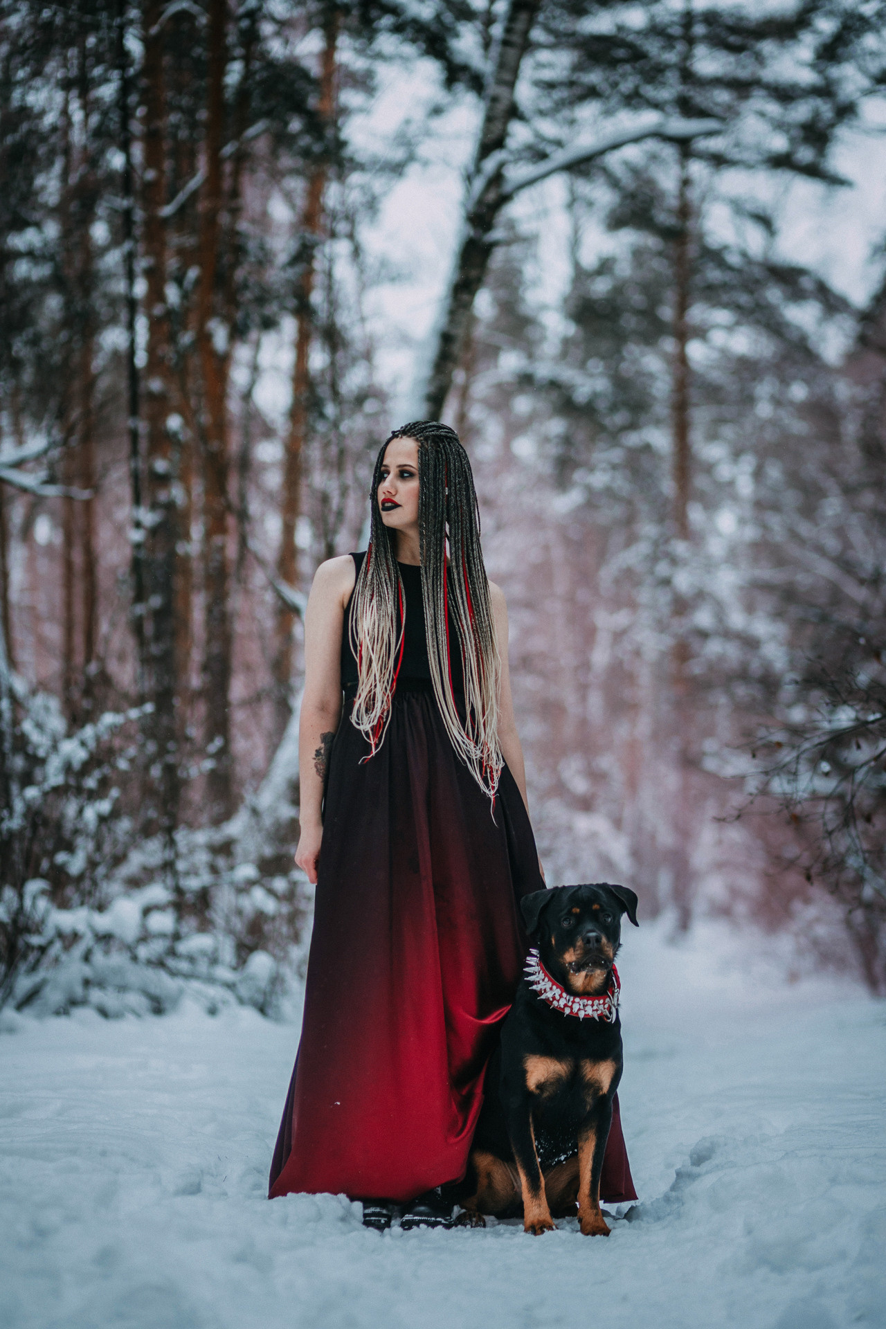 Каринэ и Цири. Фотограф-анималист Елена Радченко, Москва