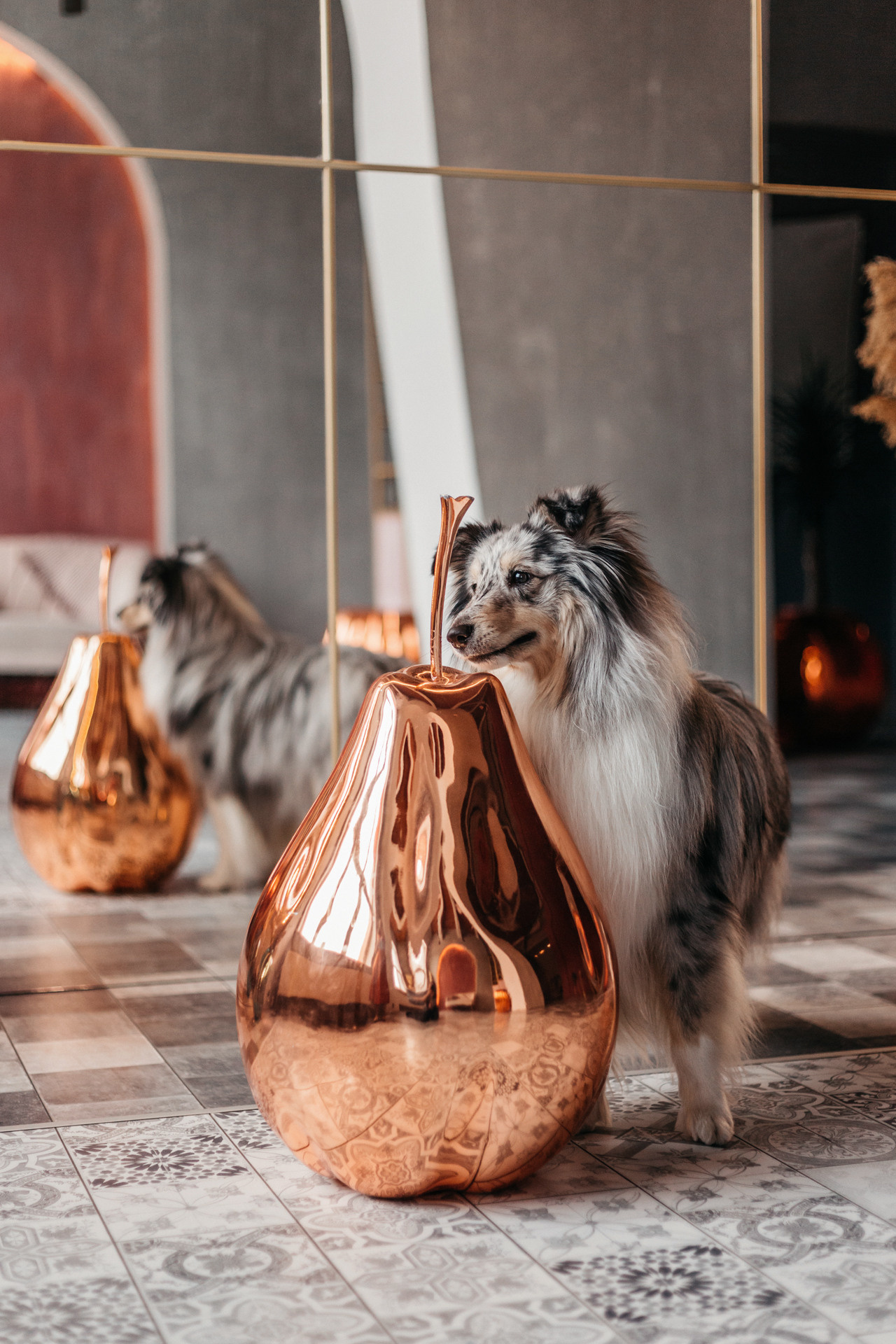 Аня и Скай. Фотограф-анималист Елена Радченко, Москва