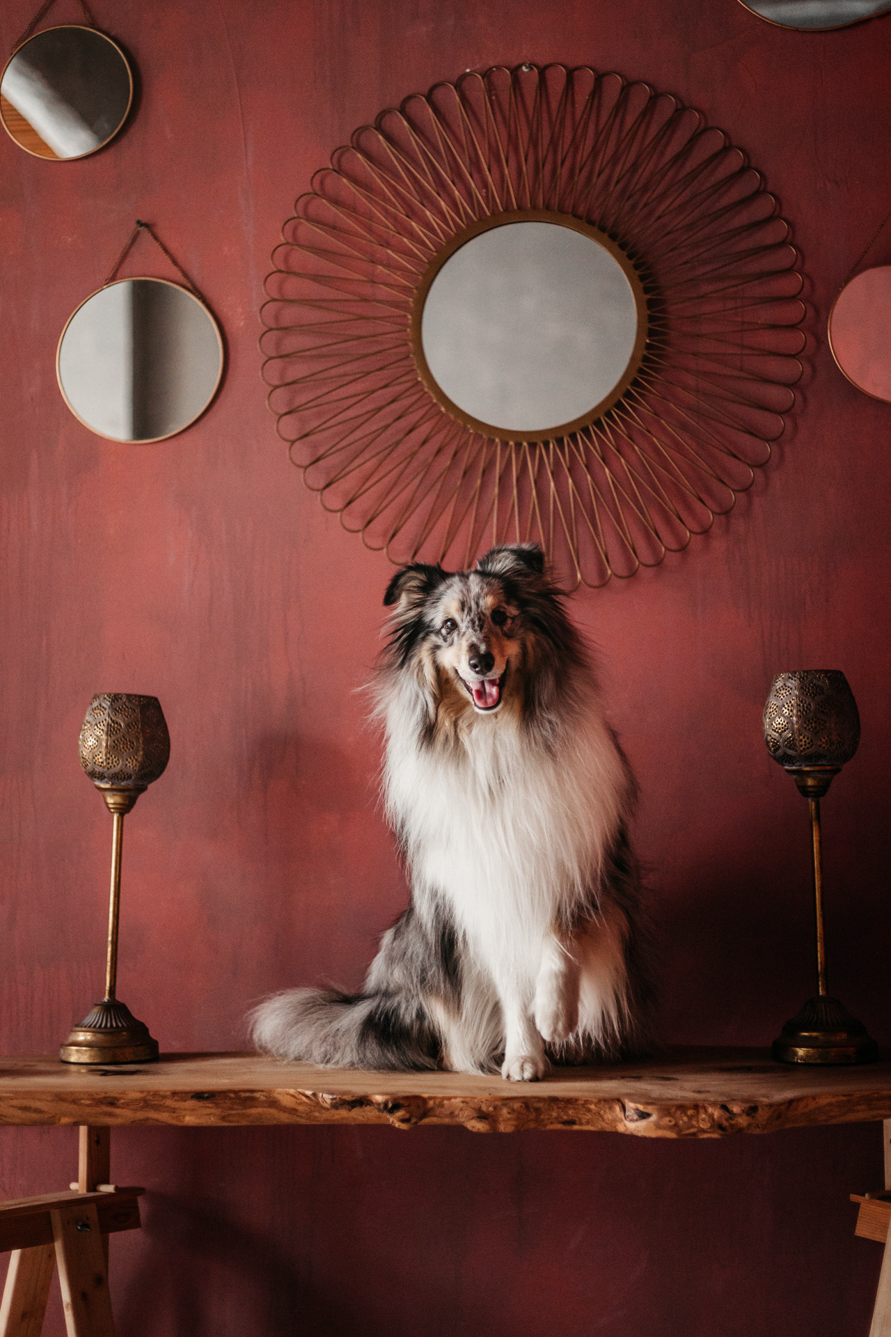 Аня и Скай. Фотограф-анималист Елена Радченко, Москва