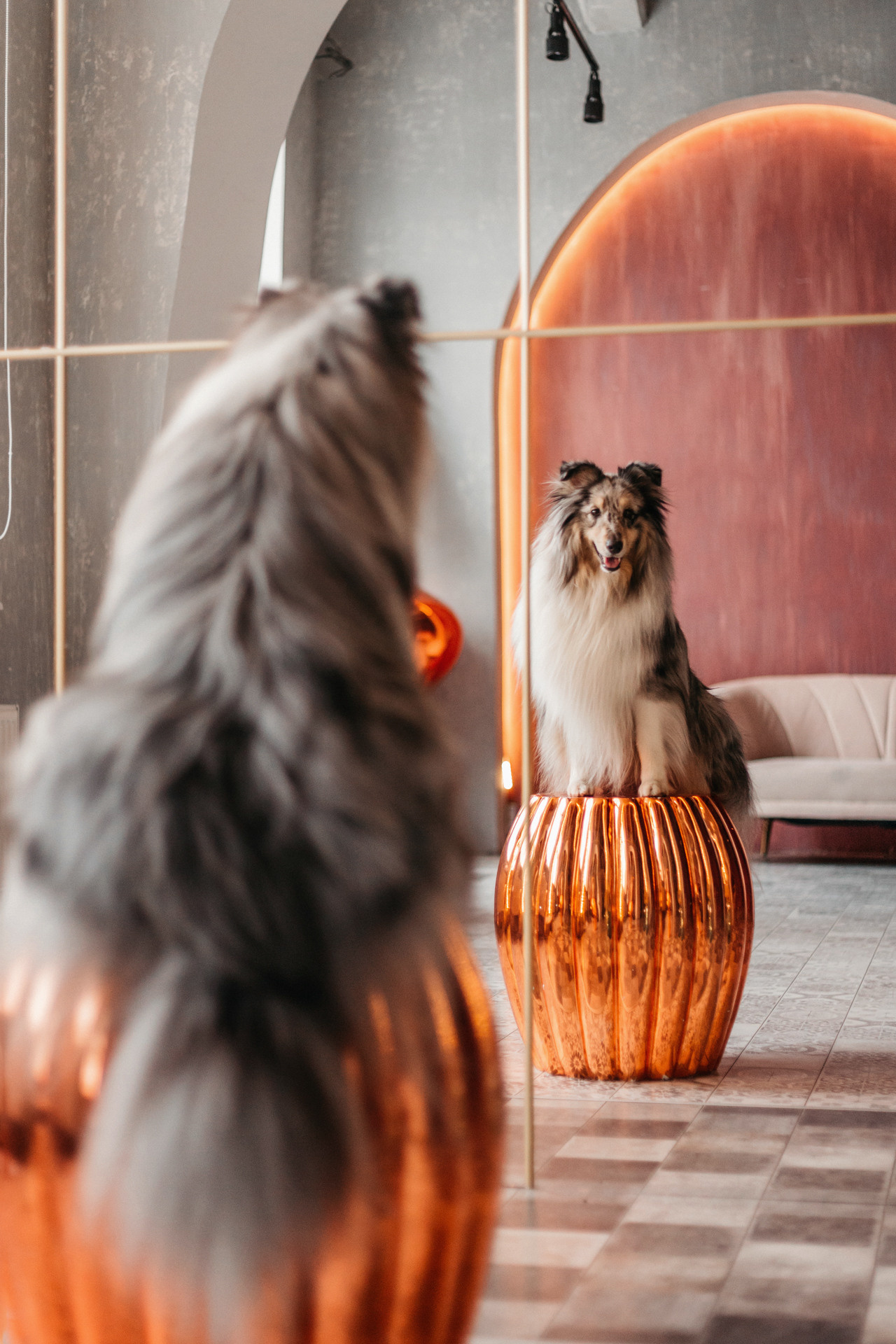 Аня и Скай. Фотограф-анималист Елена Радченко, Москва