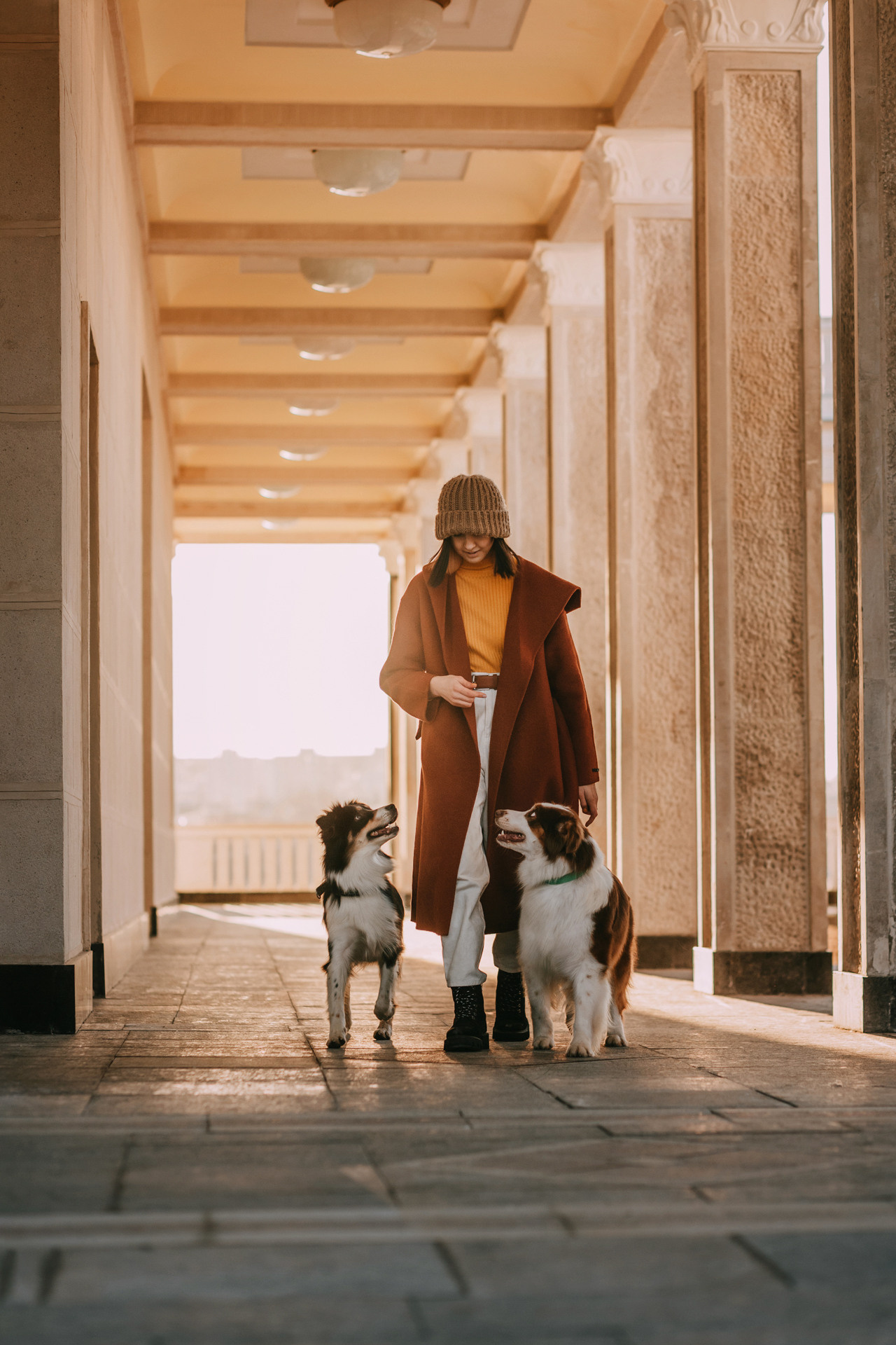 Нюта, Мэри и Лэсси. Фотограф-анималист Елена Радченко, Москва