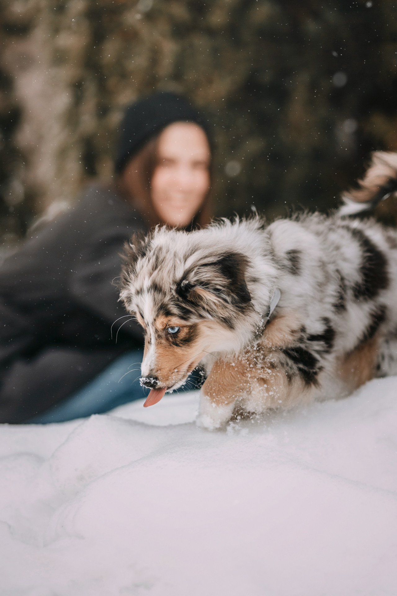 Дарья и Луна. Фотограф-анималист Елена Радченко, Москва