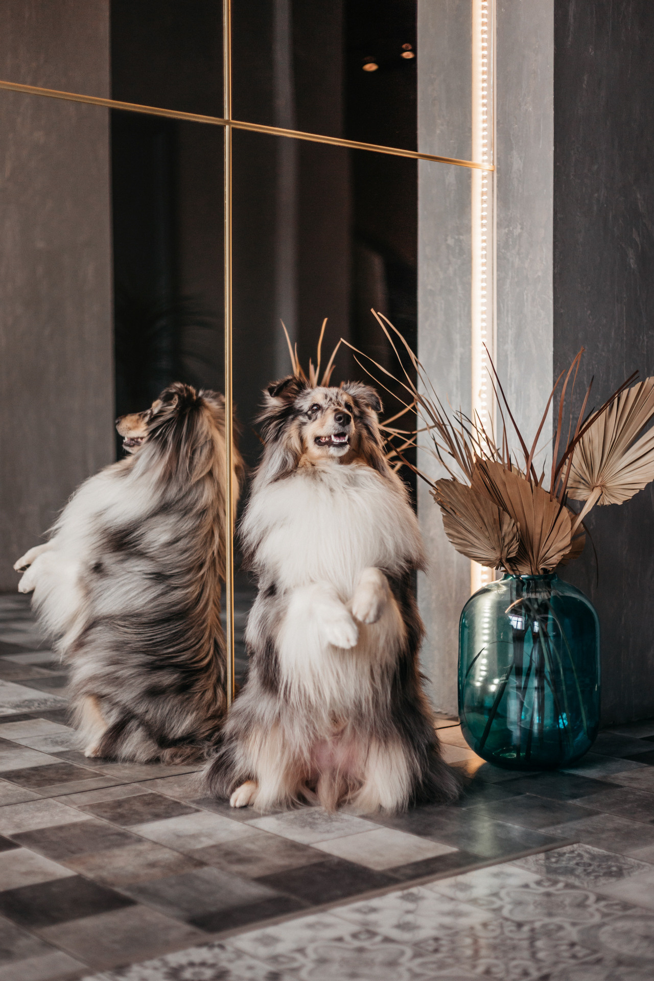 Аня и Скай. Фотограф-анималист Елена Радченко, Москва