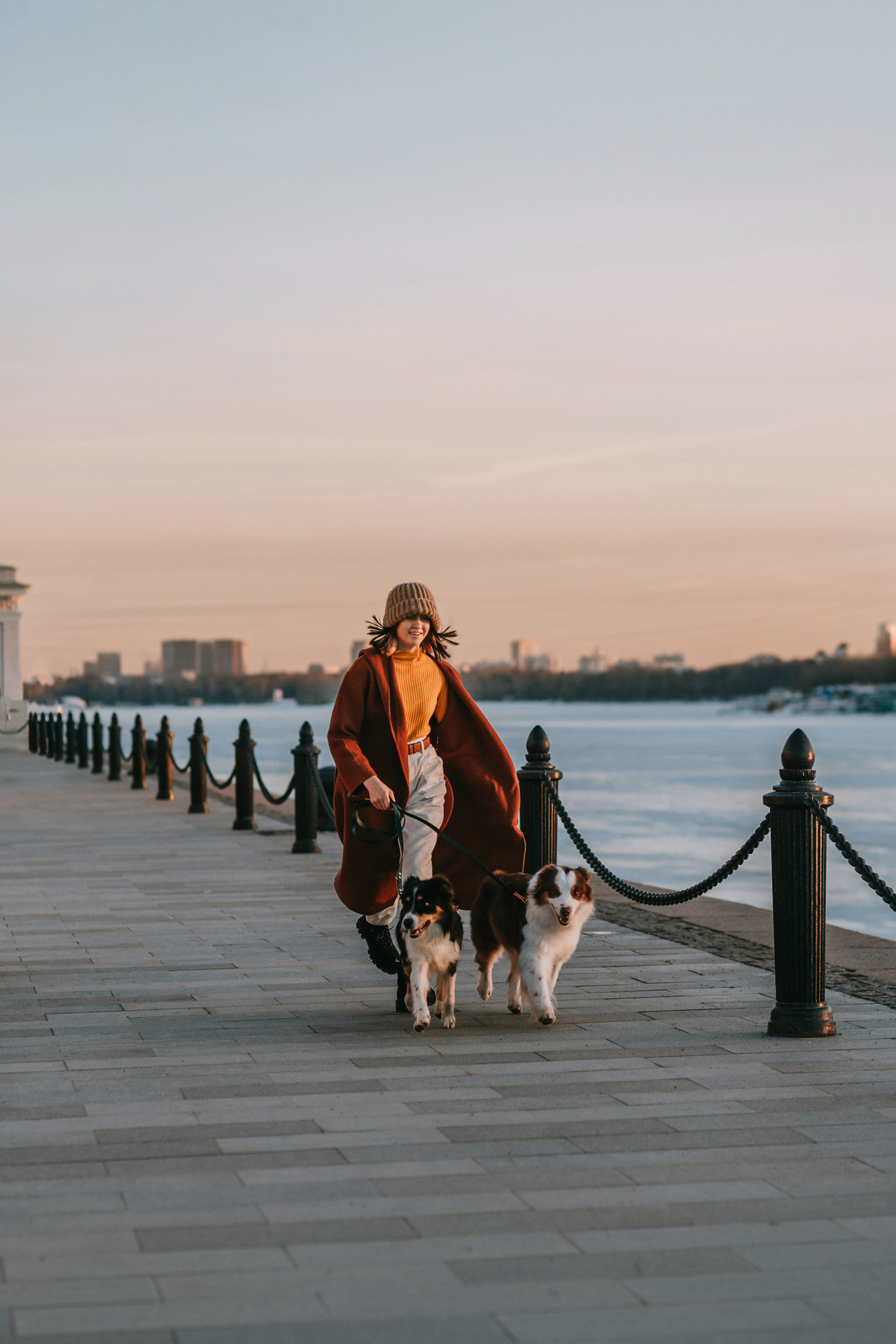 Нюта, Мэри и Лэсси. Фотограф-анималист Елена Радченко, Москва