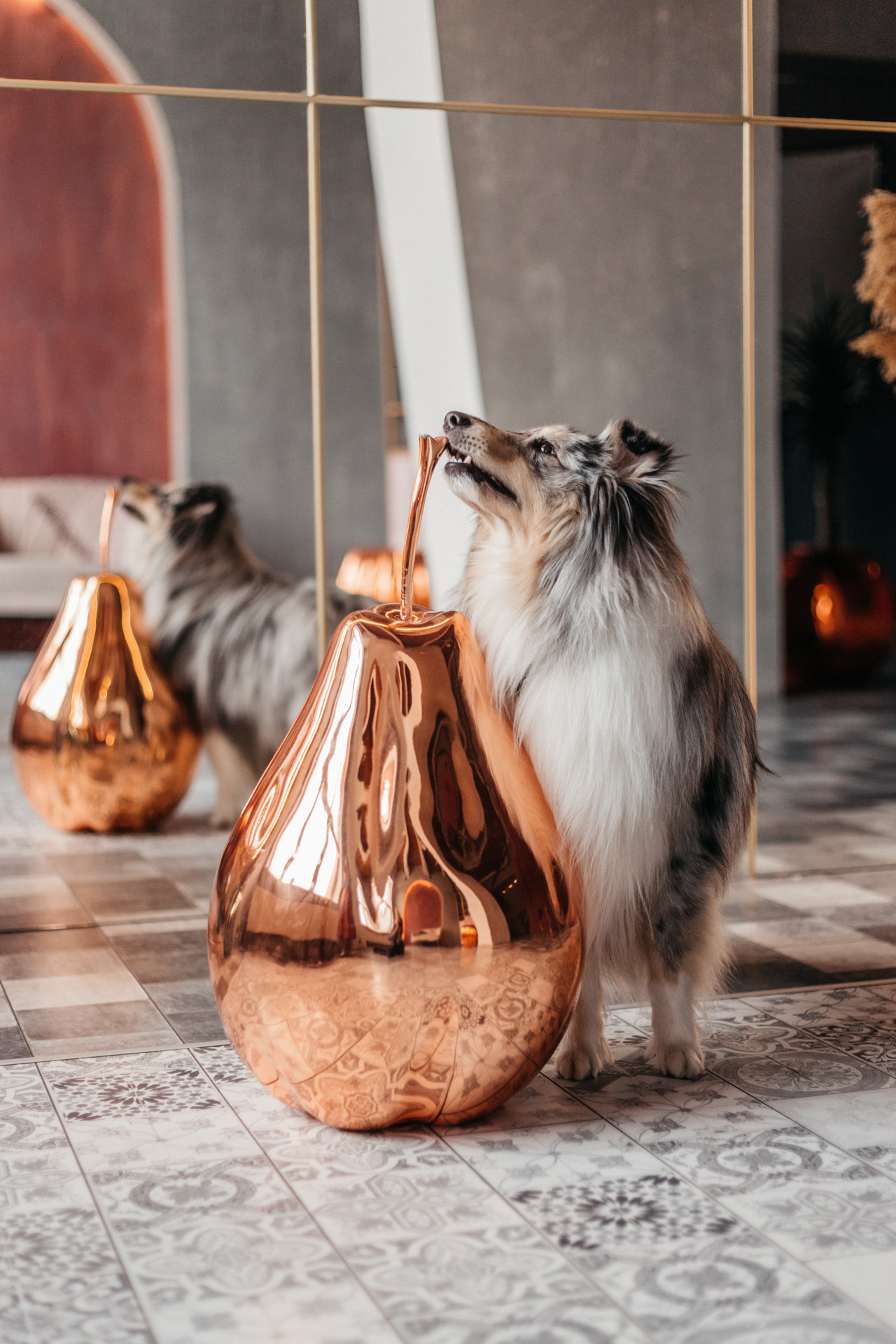 Аня и Скай. Фотограф-анималист Елена Радченко, Москва