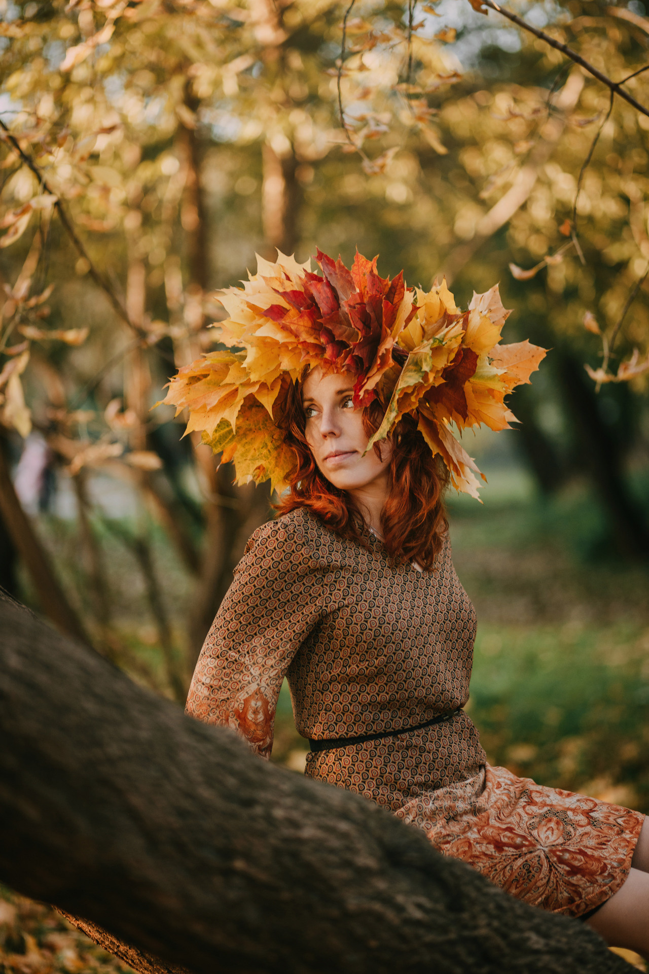 Оля в осени. Фотограф-анималист Елена Радченко, Москва