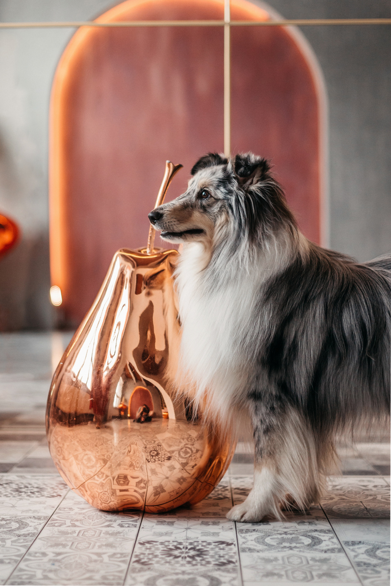 Аня и Скай. Фотограф-анималист Елена Радченко, Москва