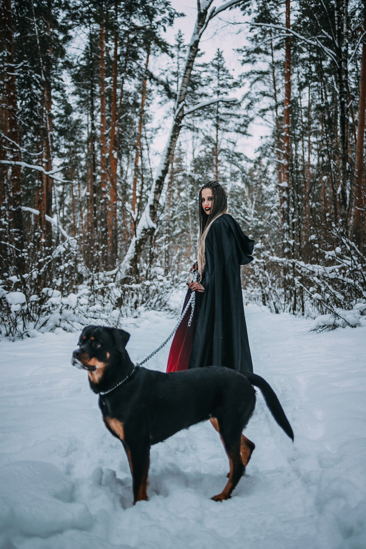 Каринэ и Цири. Фотограф-анималист Елена Радченко, Москва