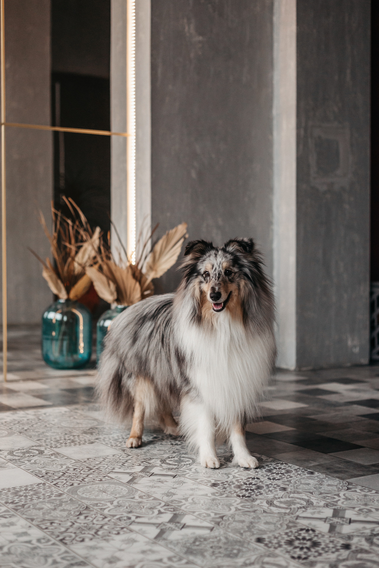 Аня и Скай. Фотограф-анималист Елена Радченко, Москва