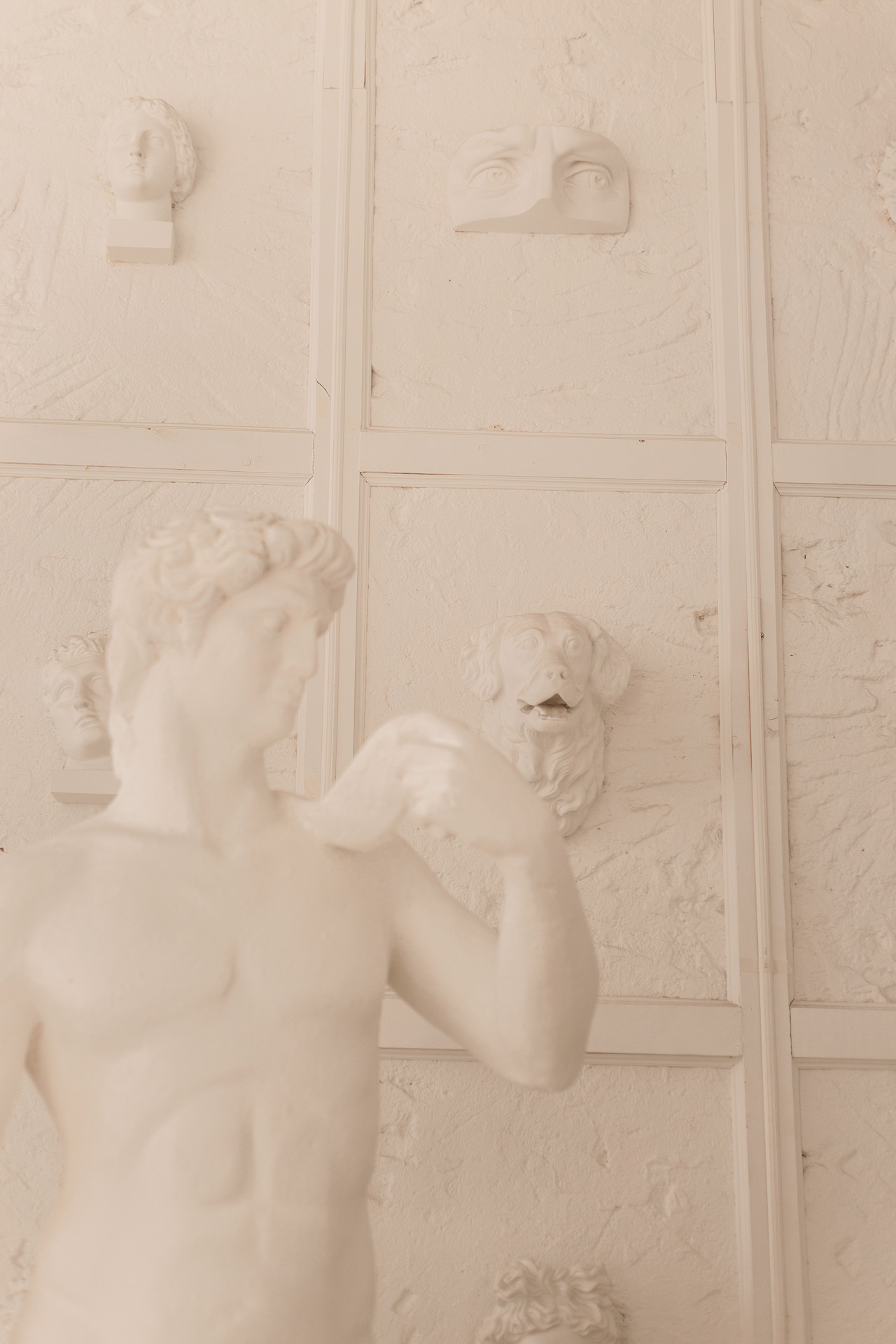 Аня, Вафля и Пикси. Фотограф-анималист Елена Радченко, Москва