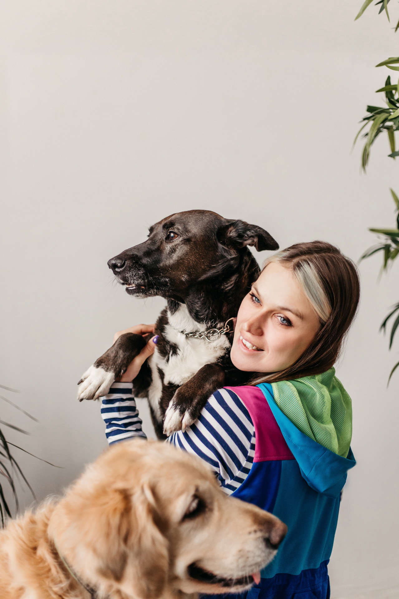 Ира, Бэлла и Альма. Фотограф-анималист Елена Радченко, Москва