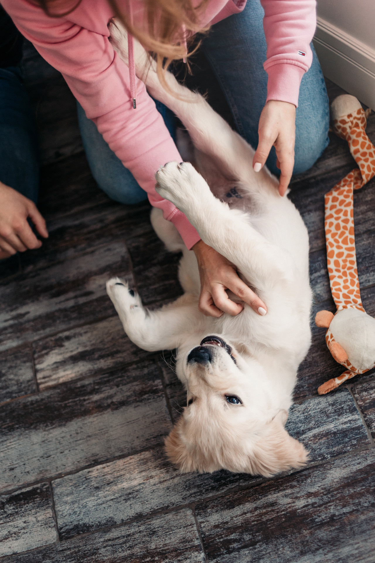 Наталья и Шелби. Фотограф-анималист Елена Радченко, Москва
