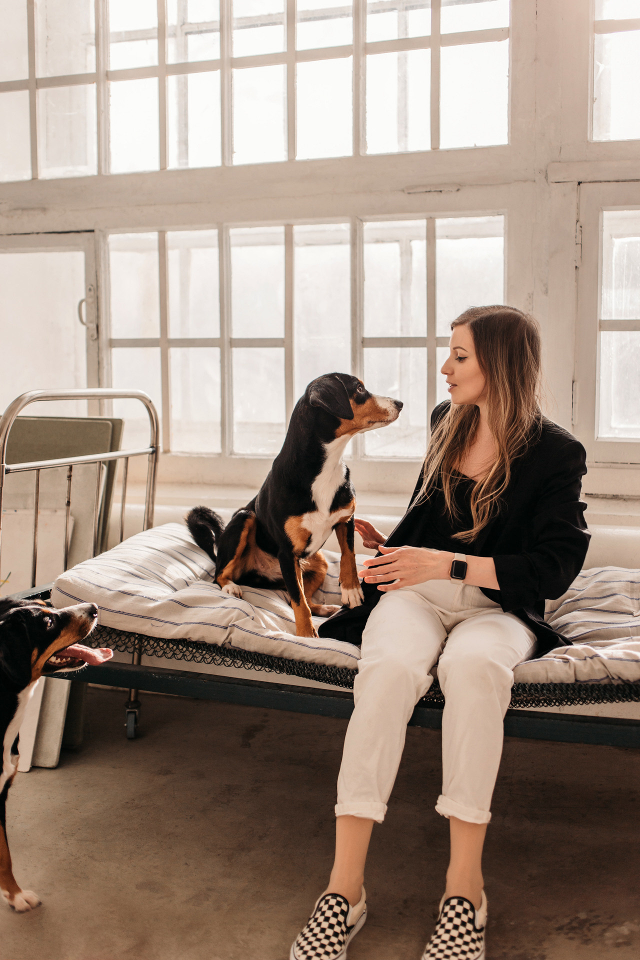 Аня, Вафля и Пикси. Фотограф-анималист Елена Радченко, Москва