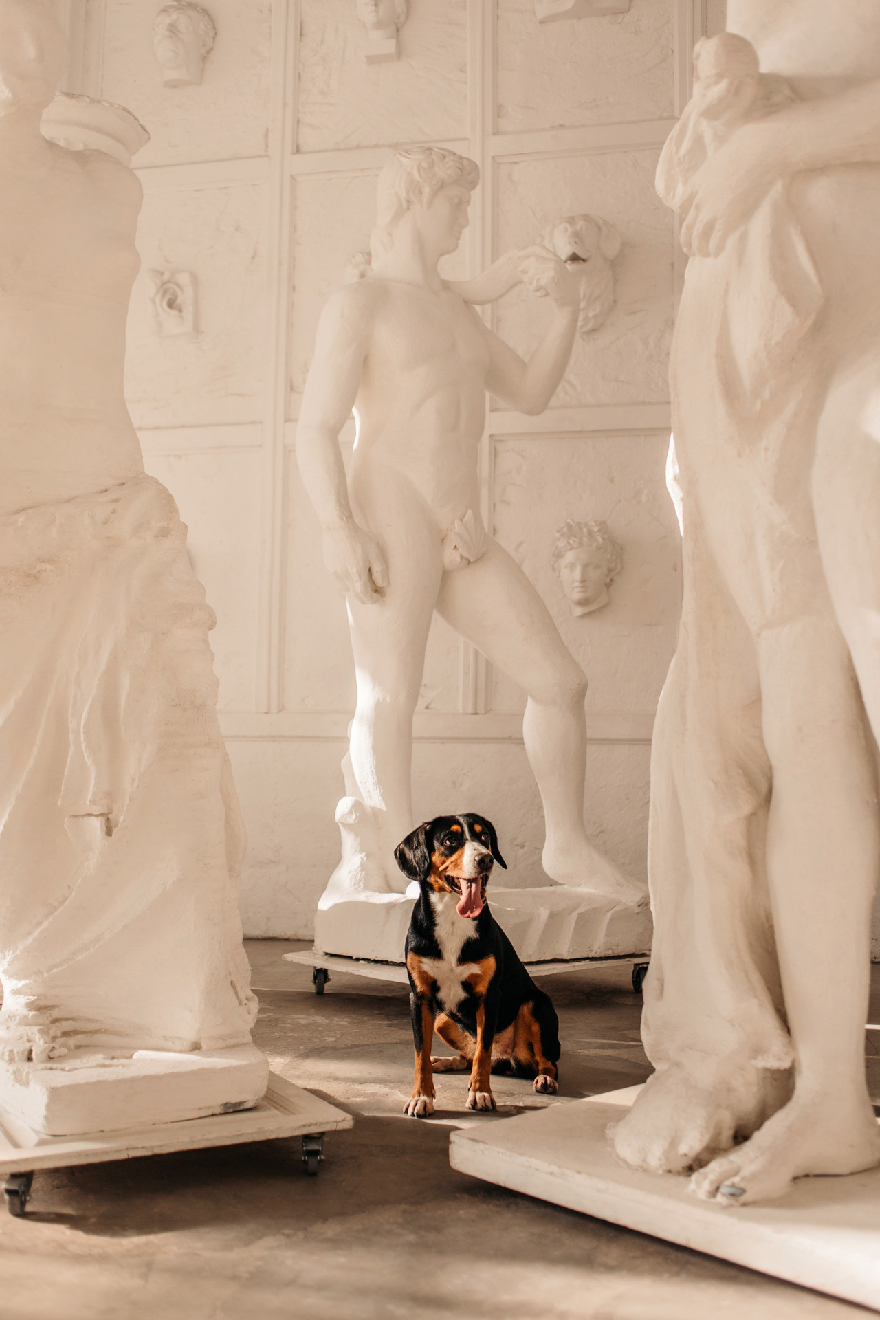 Аня, Вафля и Пикси. Фотограф-анималист Елена Радченко, Москва