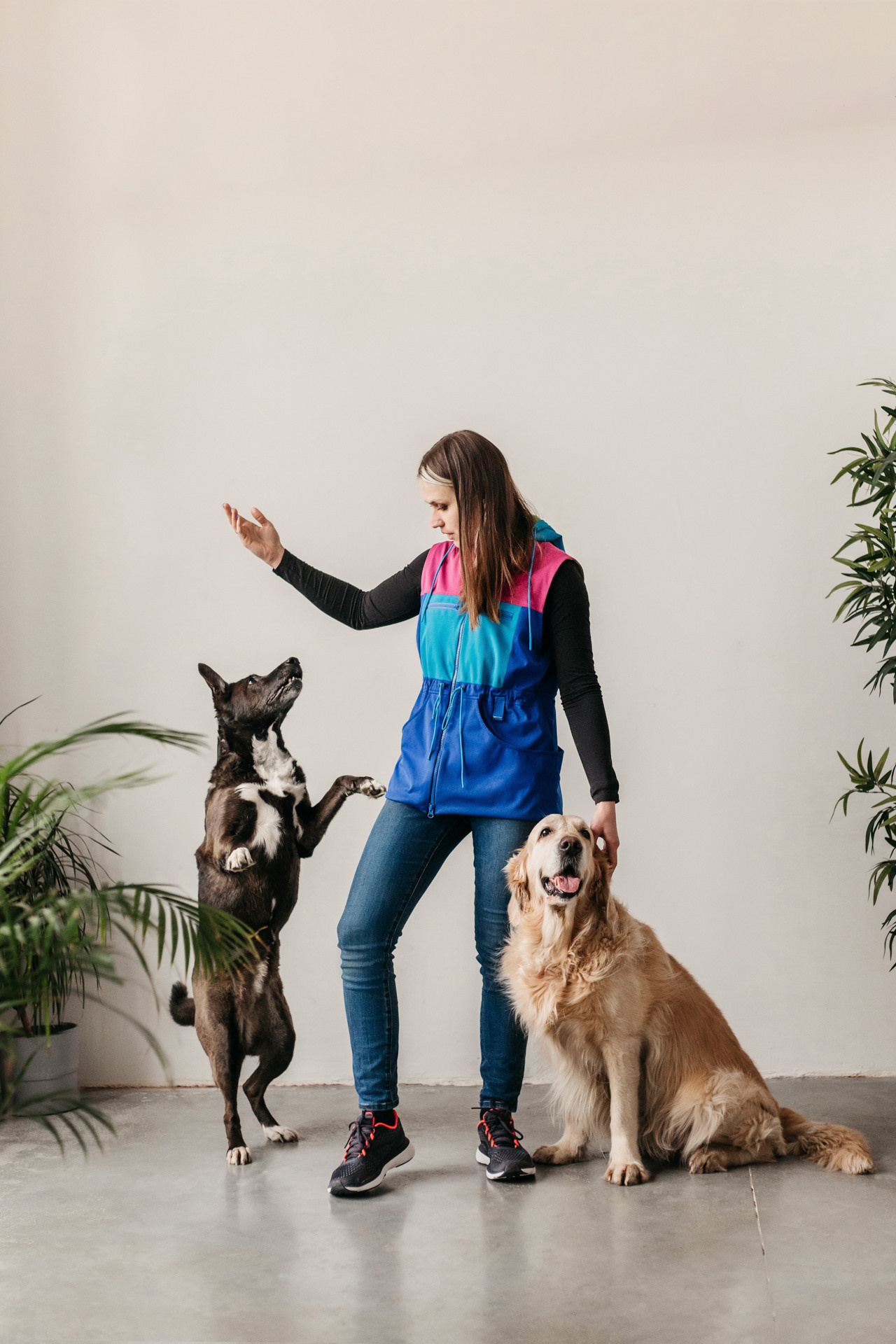 Ира, Бэлла и Альма. Фотограф-анималист Елена Радченко, Москва