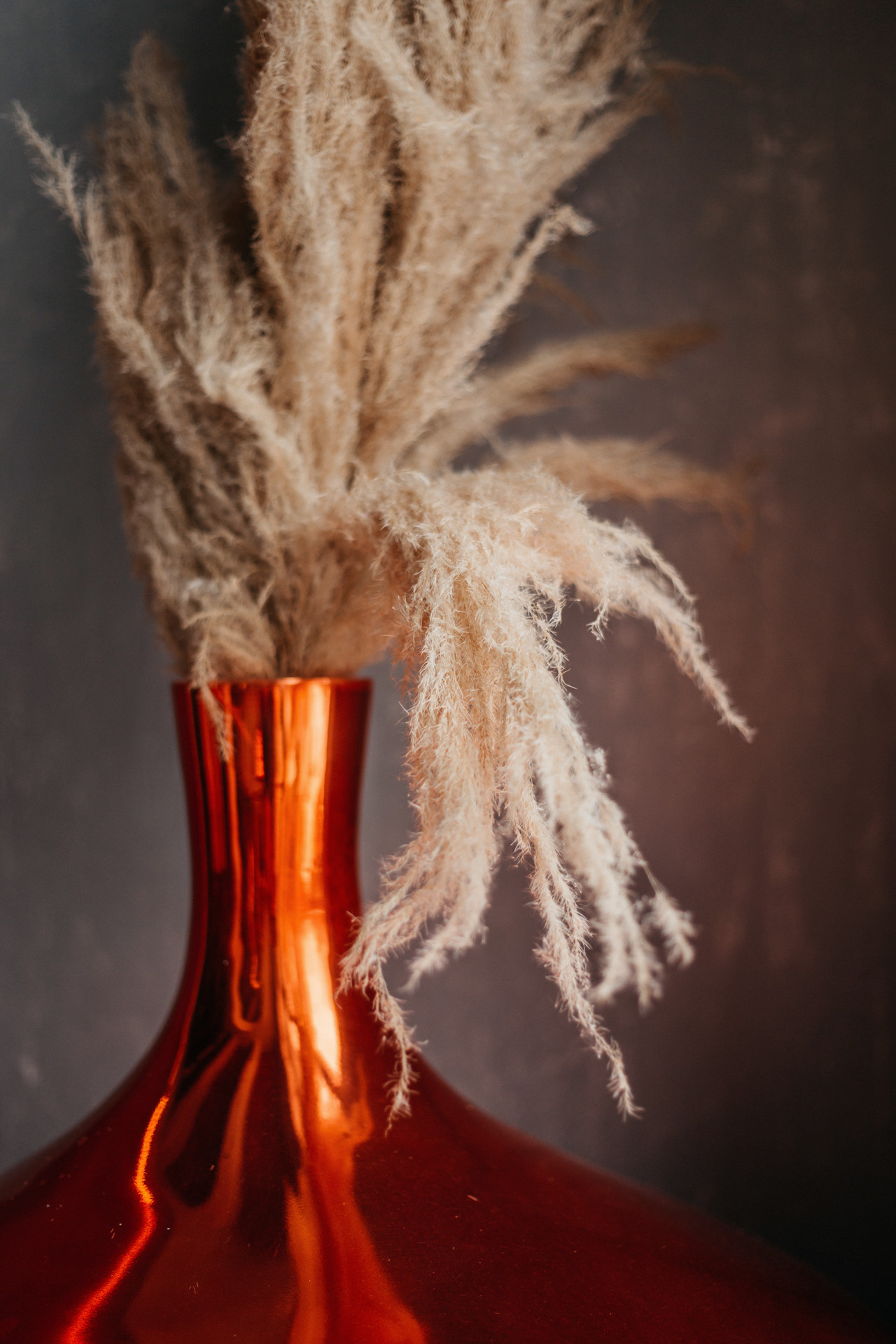 Аня и Скай. Фотограф-анималист Елена Радченко, Москва