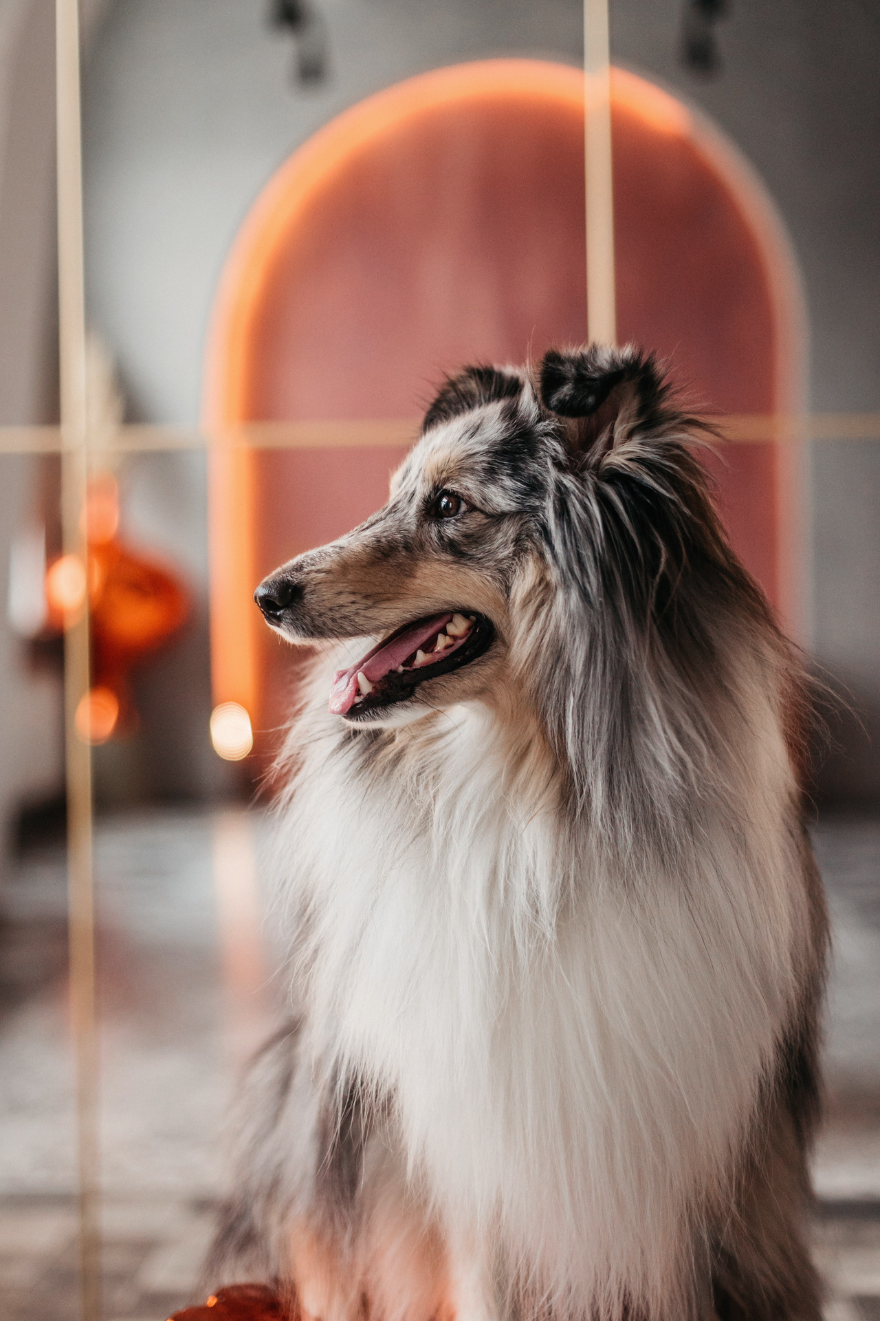 Аня и Скай. Фотограф-анималист Елена Радченко, Москва