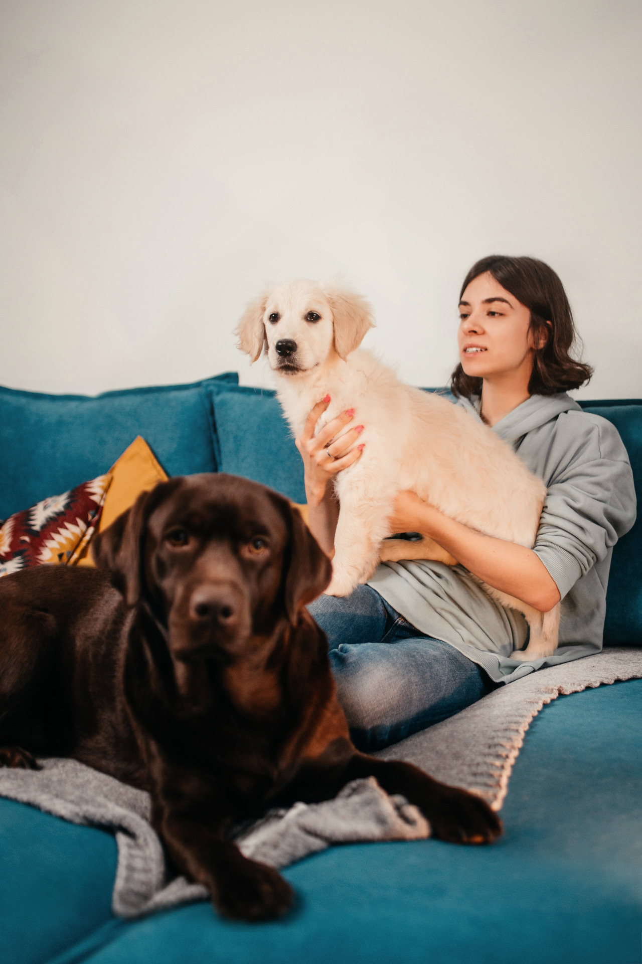 Настя, Вальда и Флер. Фотограф-анималист Елена Радченко, Москва