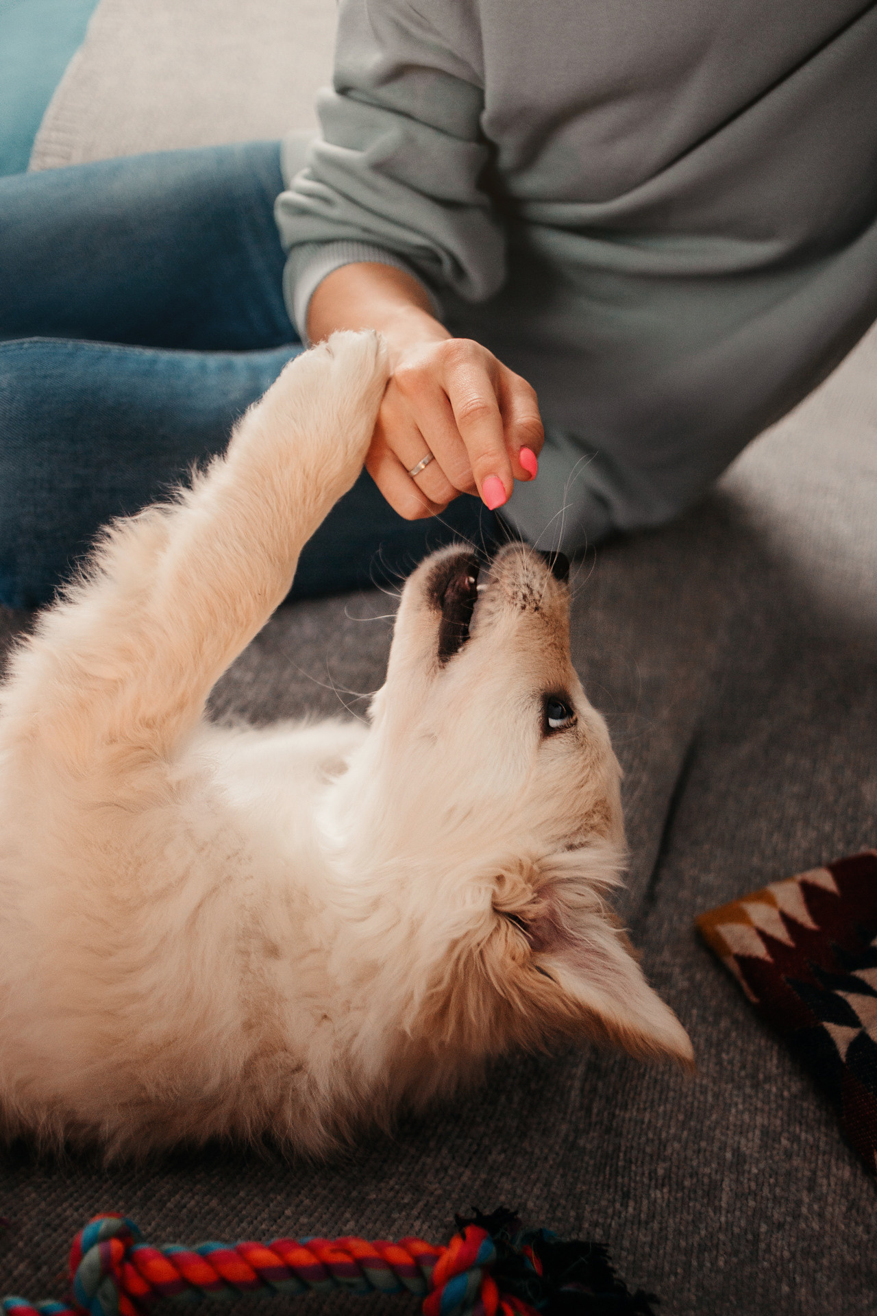 Настя, Вальда и Флер. Фотограф-анималист Елена Радченко, Москва