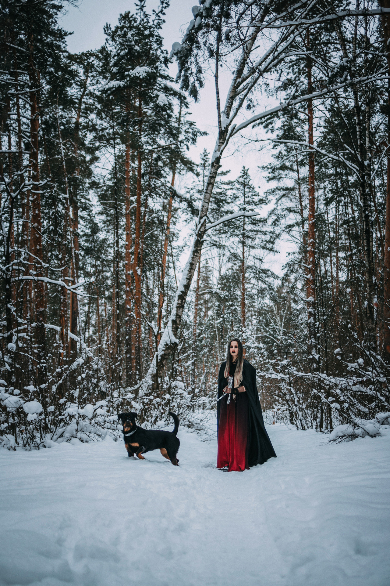 Каринэ и Цири. Фотограф-анималист Елена Радченко, Москва