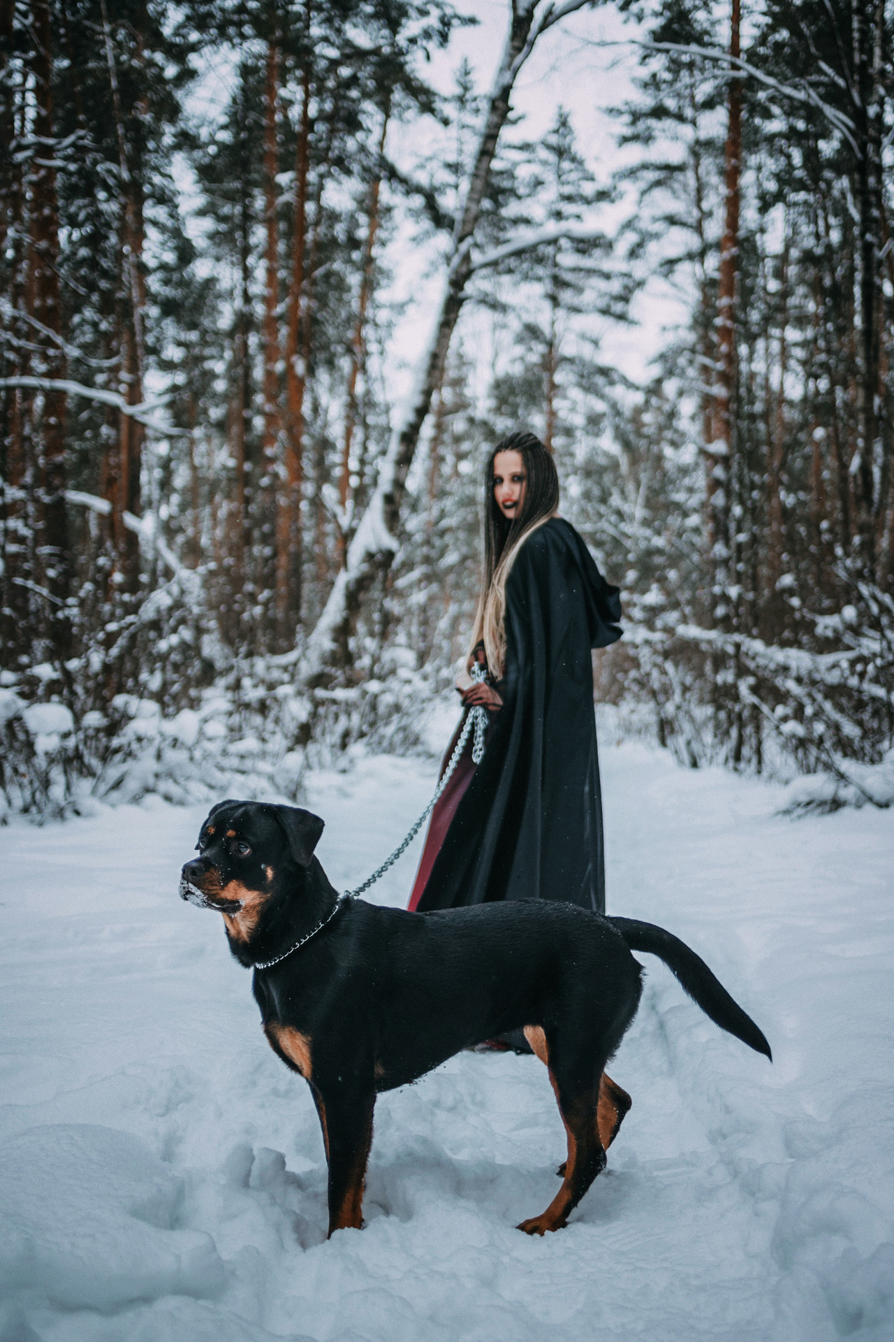 Каринэ и Цири. Фотограф-анималист Елена Радченко, Москва