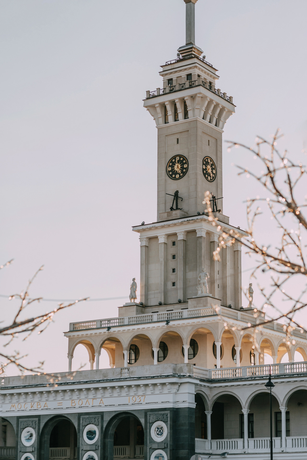 Нюта, Мэри и Лэсси. Фотограф-анималист Елена Радченко, Москва