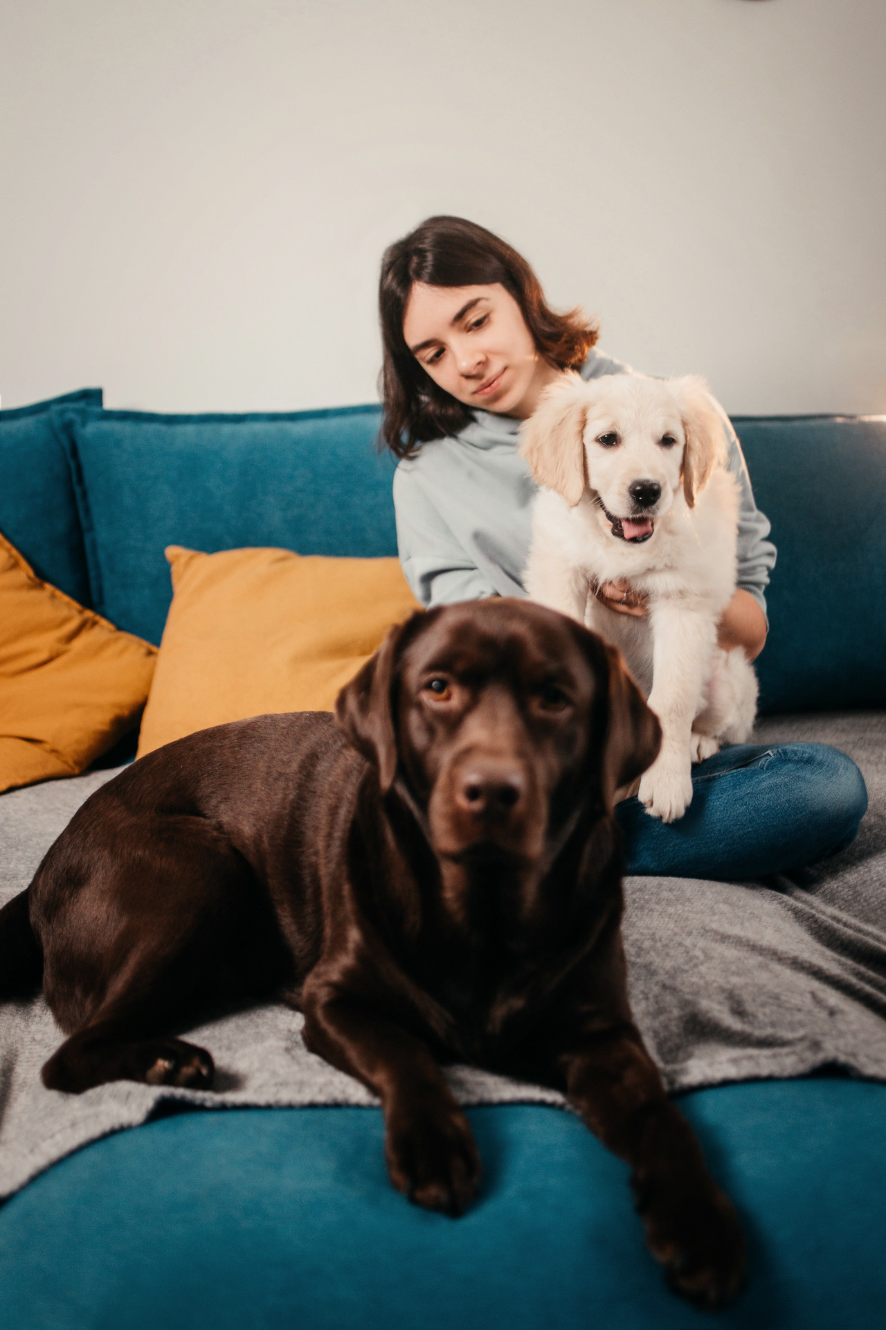 Настя, Вальда и Флер. Фотограф-анималист Елена Радченко, Москва