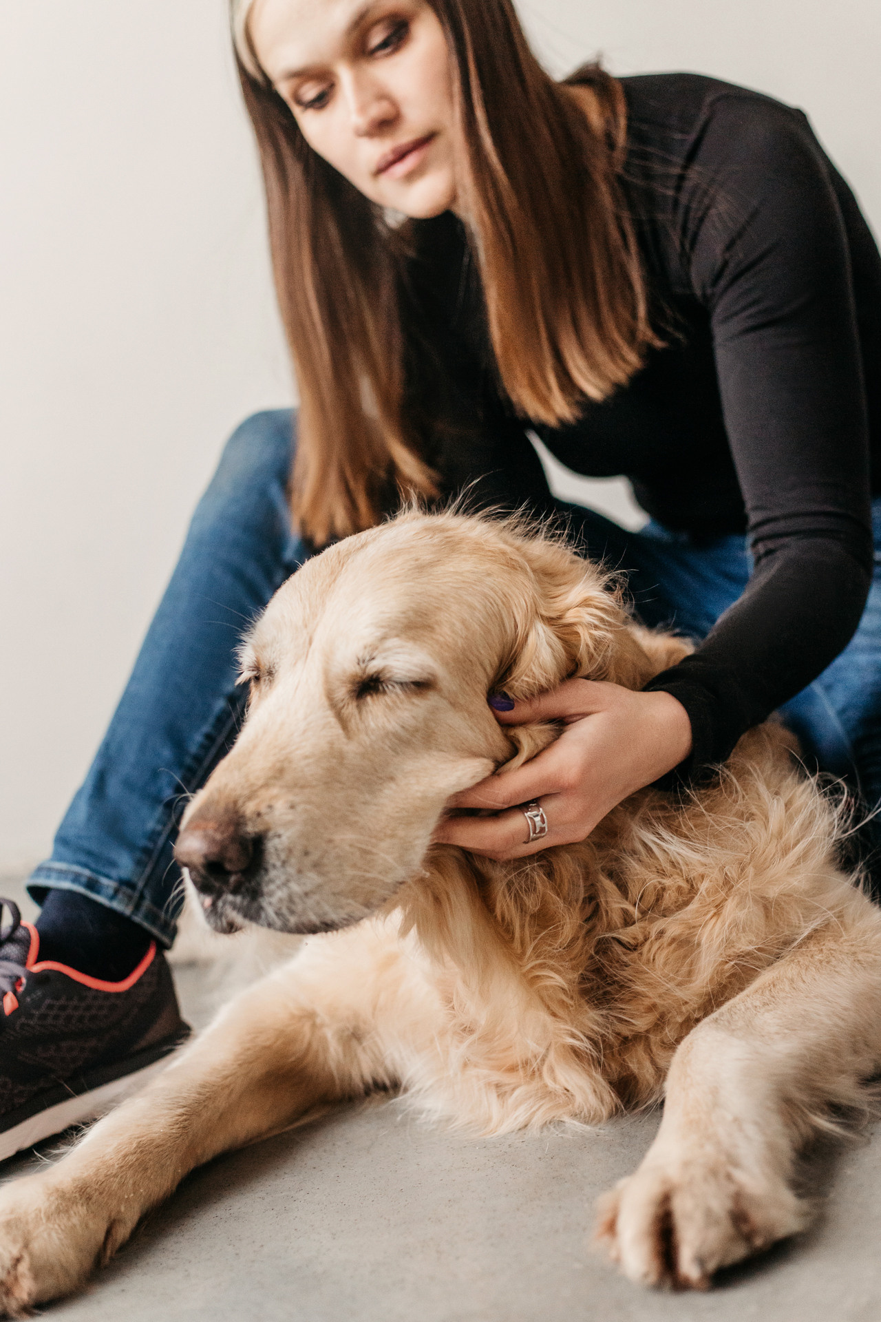 Ира, Бэлла и Альма. Фотограф-анималист Елена Радченко, Москва