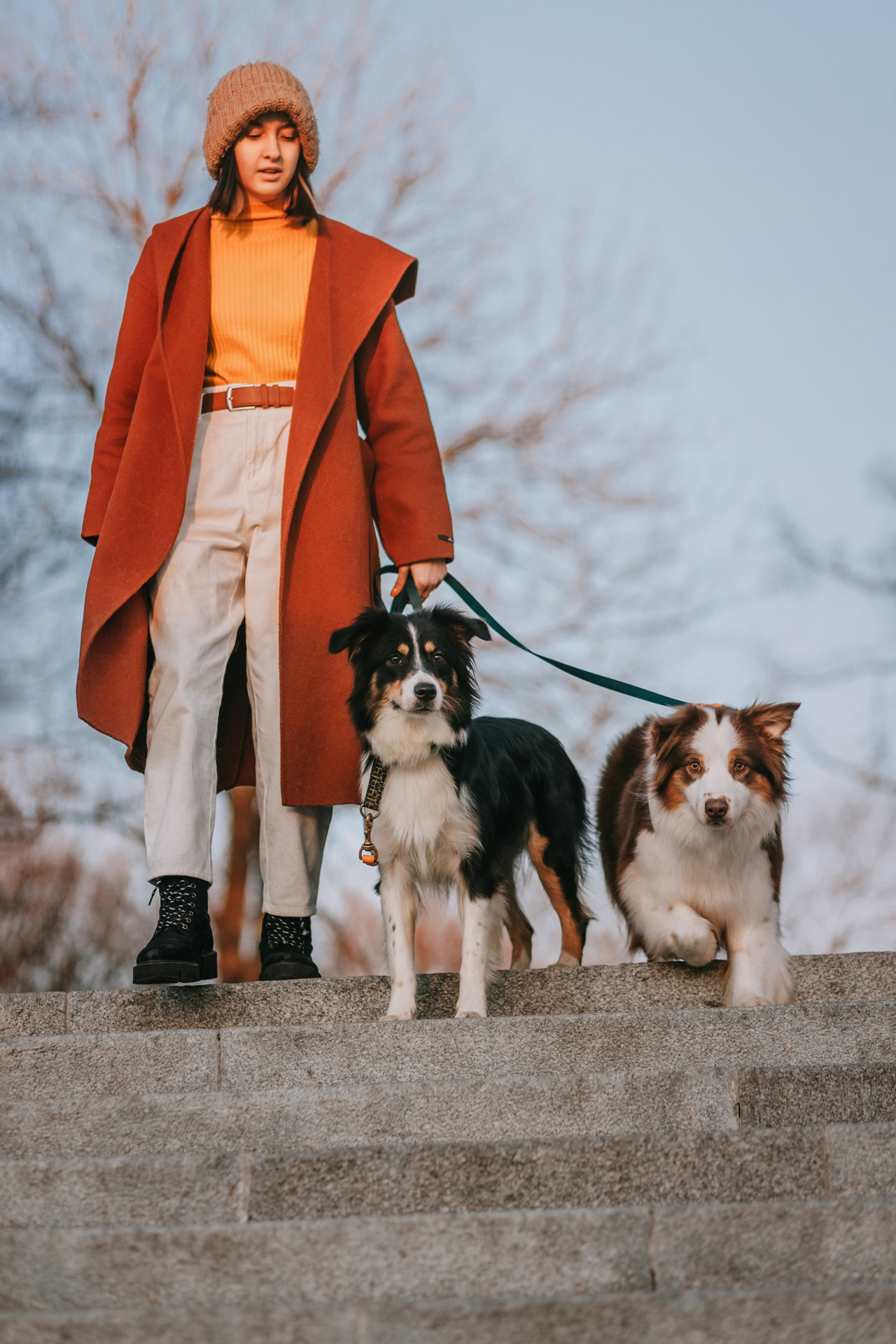 Нюта, Мэри и Лэсси. Фотограф-анималист Елена Радченко, Москва