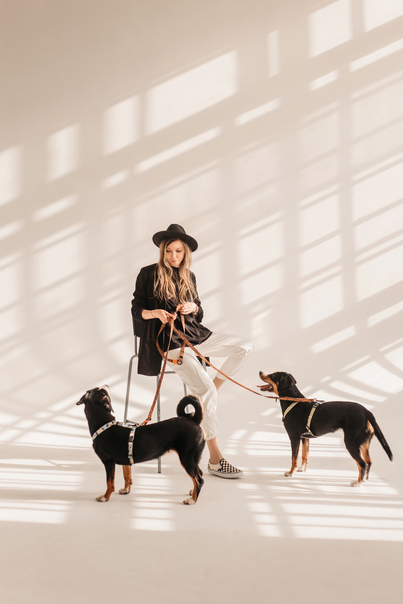 Аня, Вафля и Пикси. Фотограф-анималист Елена Радченко, Москва